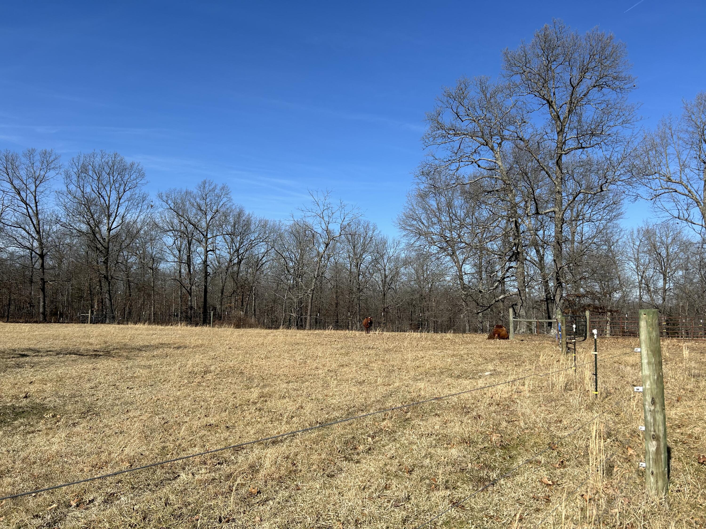 7738 P Highway Property Photo 46