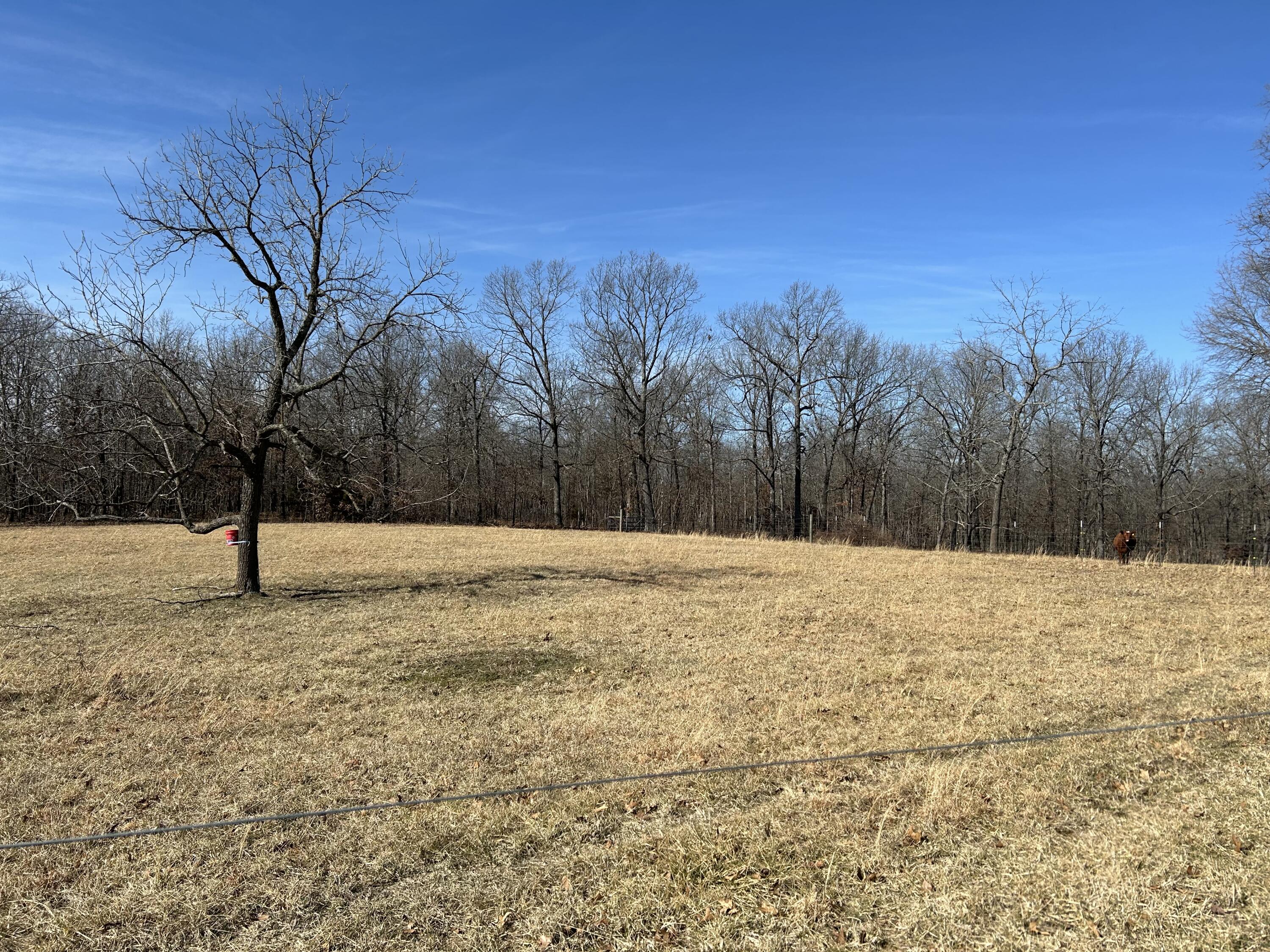 7738 P Highway Property Photo 47