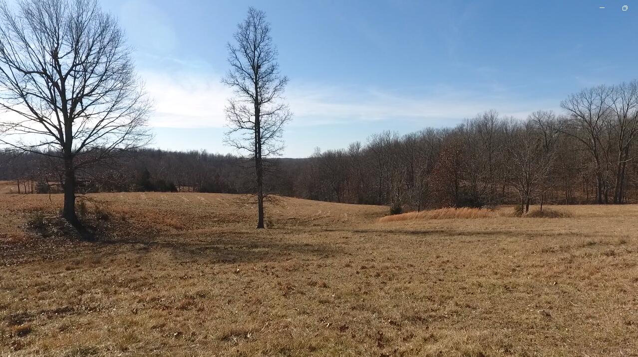 7738 P Highway Property Photo 54