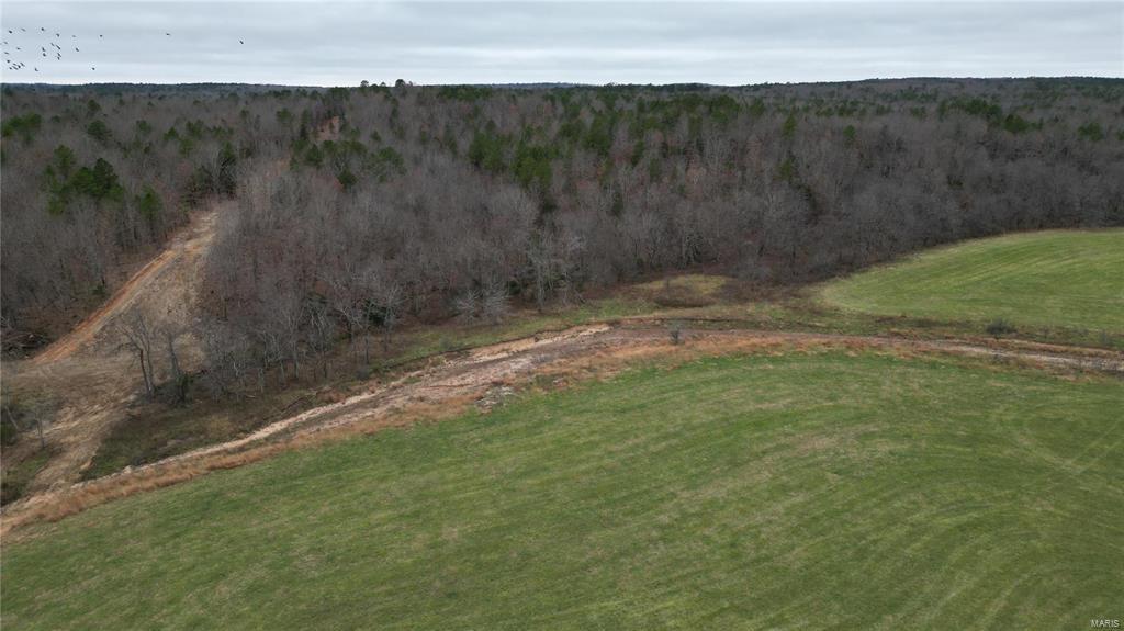 15524 County Road 615 Property Photo 10