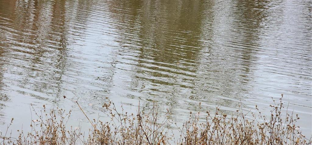 15524 County Road 615 Property Photo 17