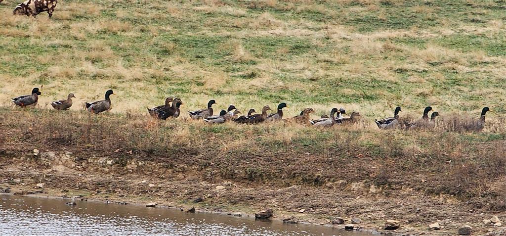 15524 County Road 615 Property Photo 32
