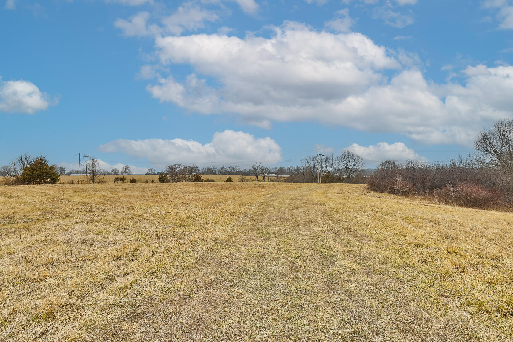 319 Meadowlark Road Property Photo 29