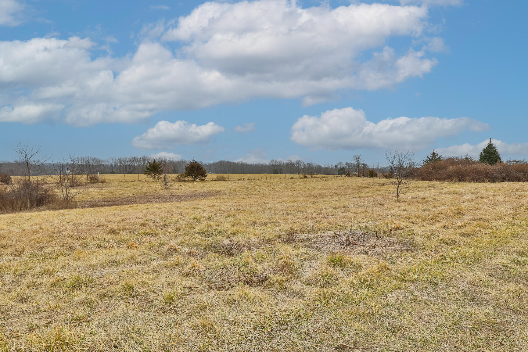 319 Meadowlark Road Property Photo 30