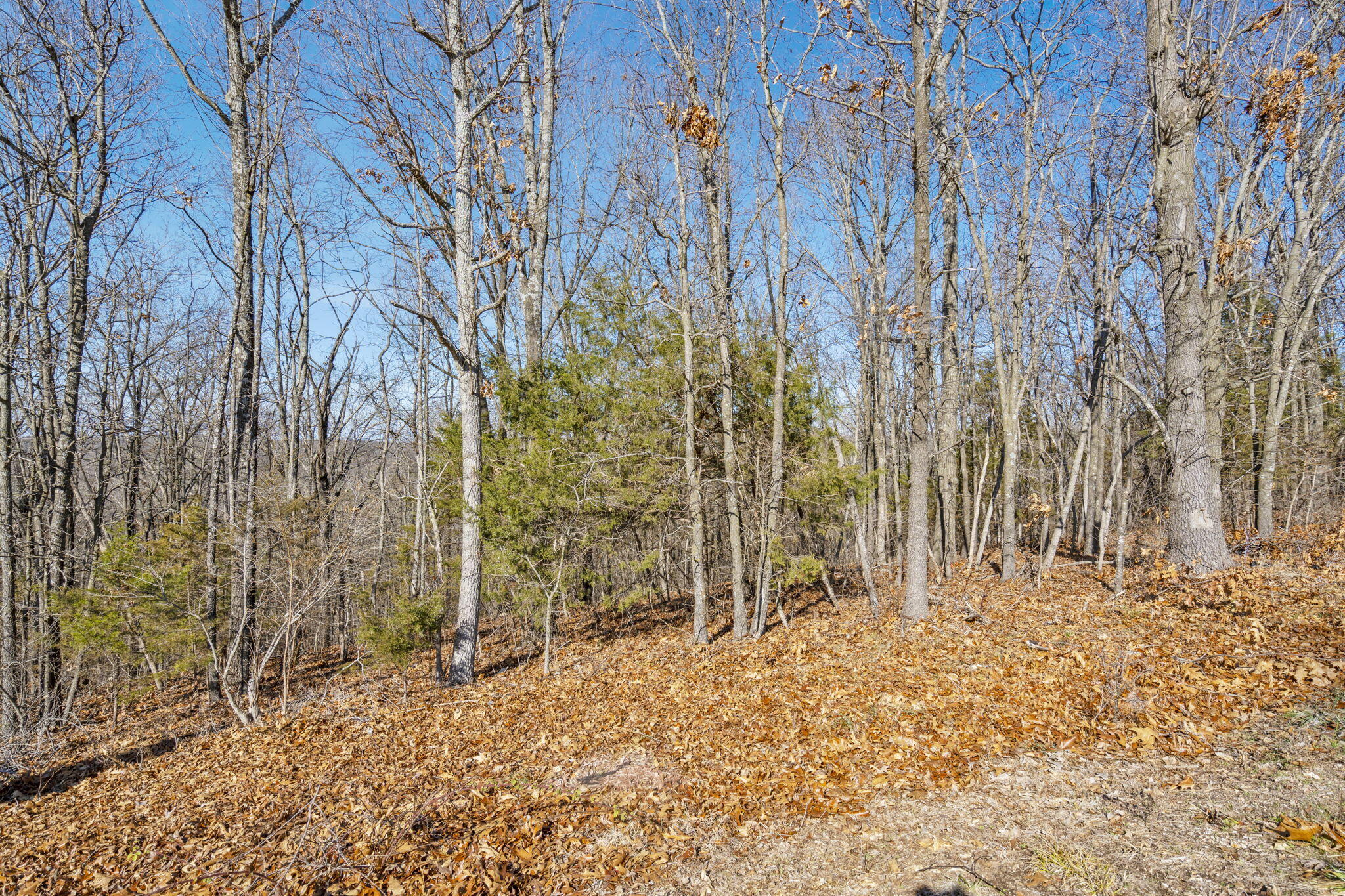 Lot 18 Midview Drive Property Photo