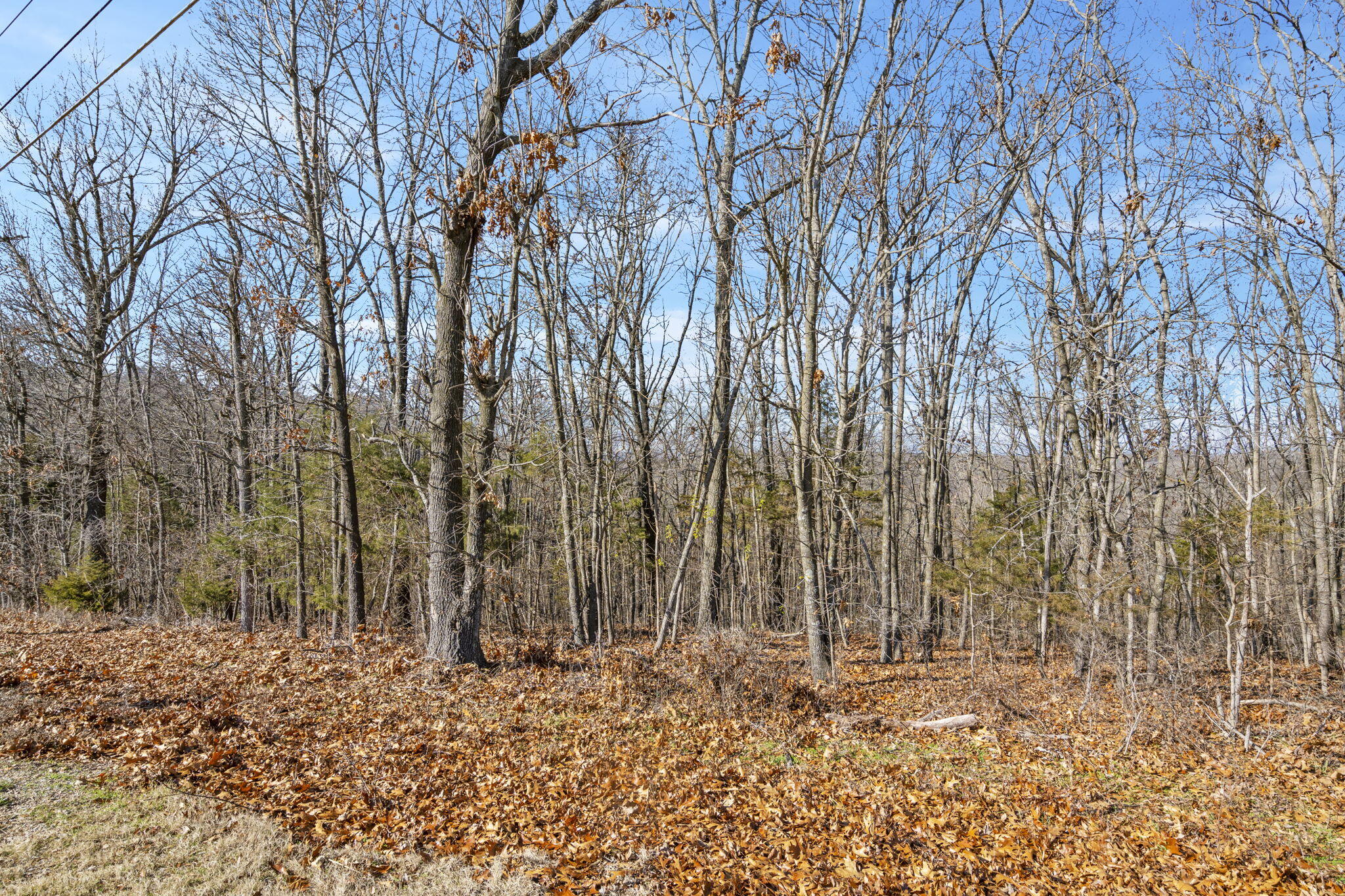 Lot 18 Midview Drive Property Photo 3