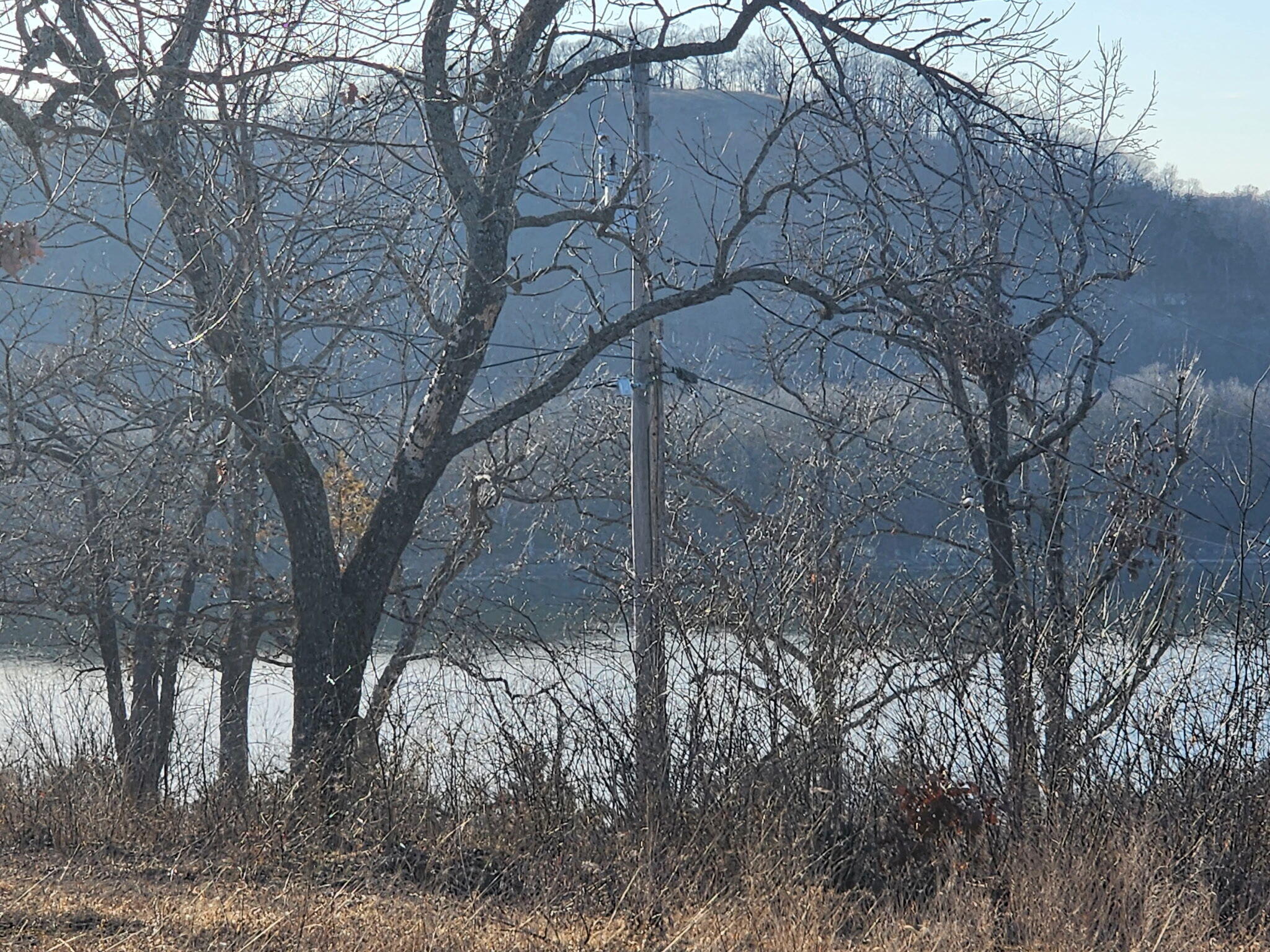 601 Bear Den Cove Property Photo 3