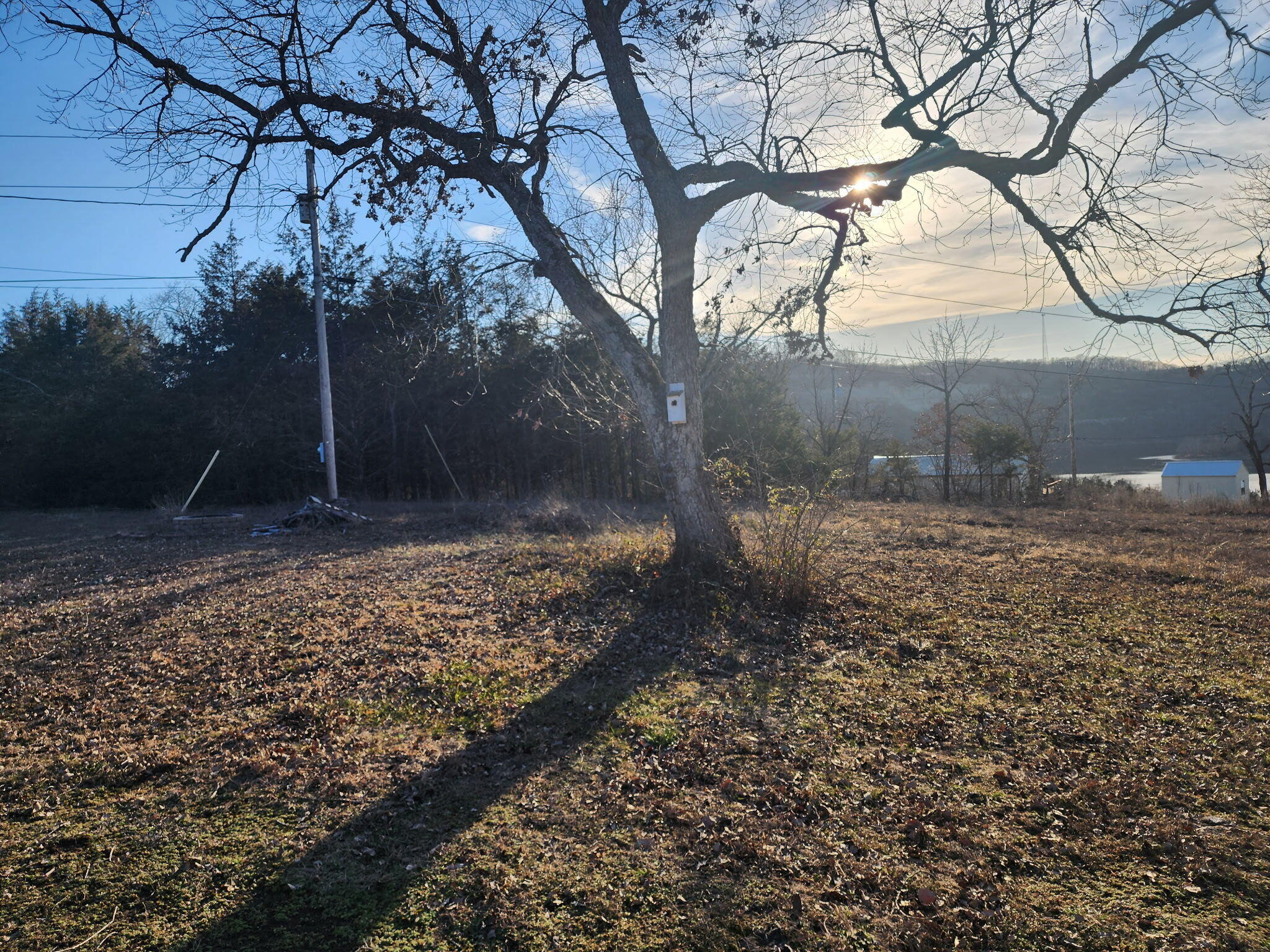 601 Bear Den Cove Property Photo 4