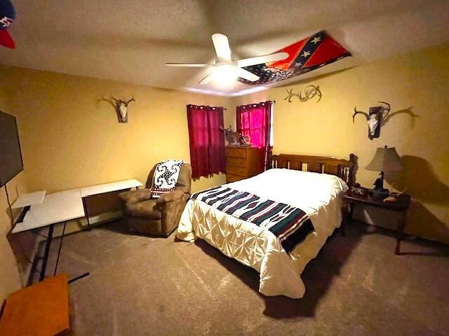 25914 Farm Road 2254 Property Photo 22