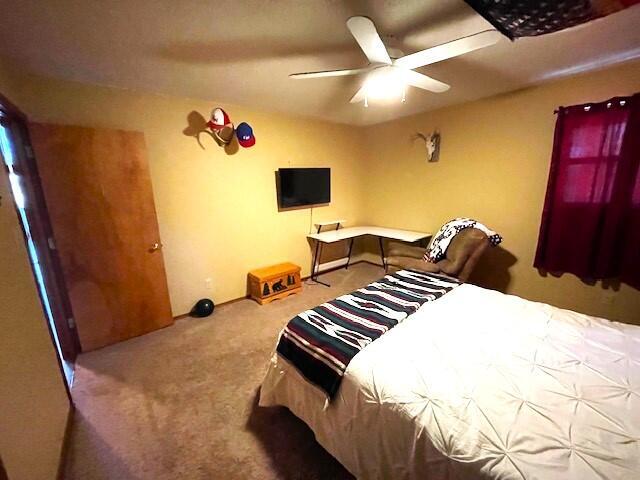 25914 Farm Road 2254 Property Photo 23