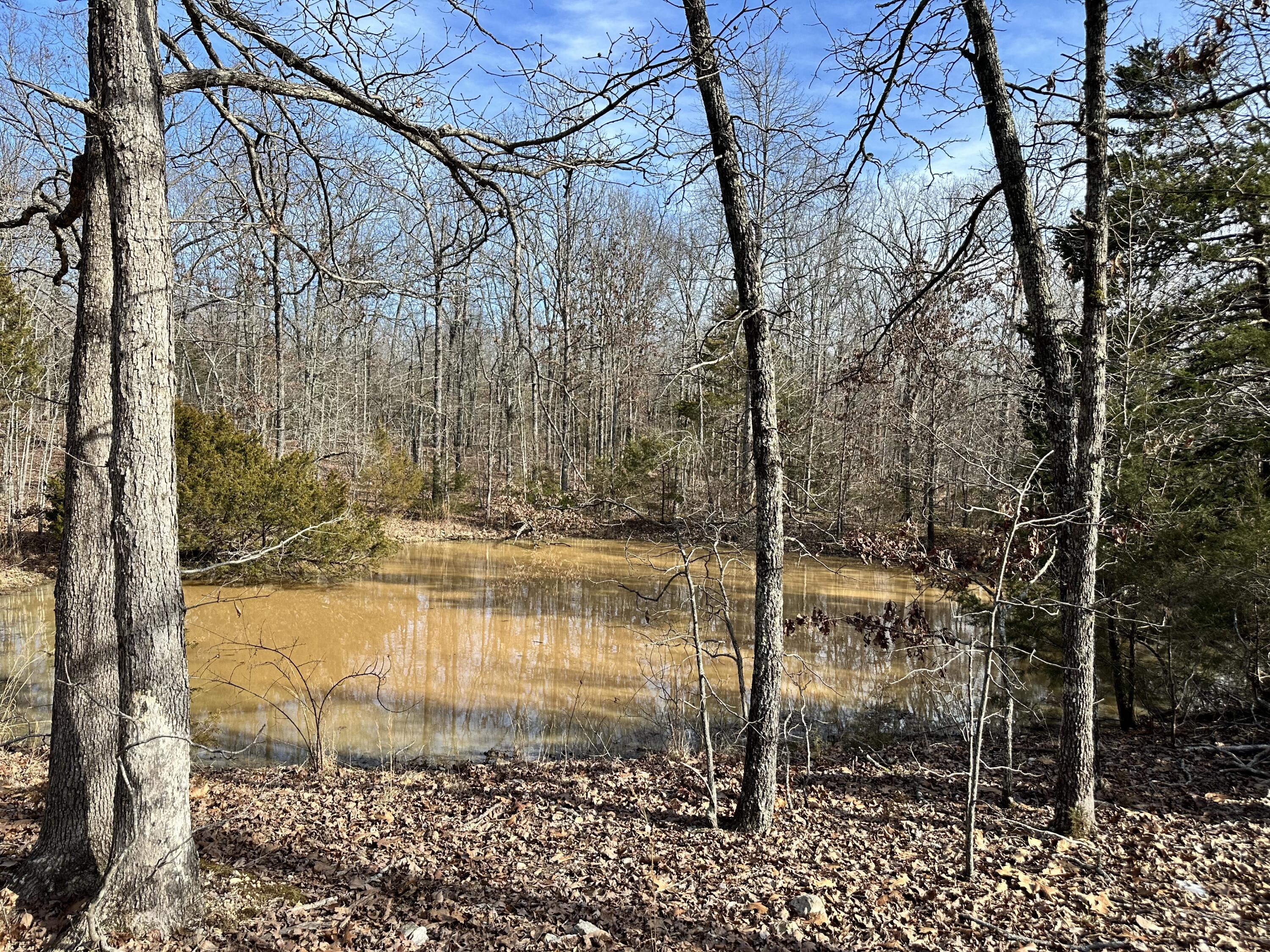 380 Moonlight Road Property Photo