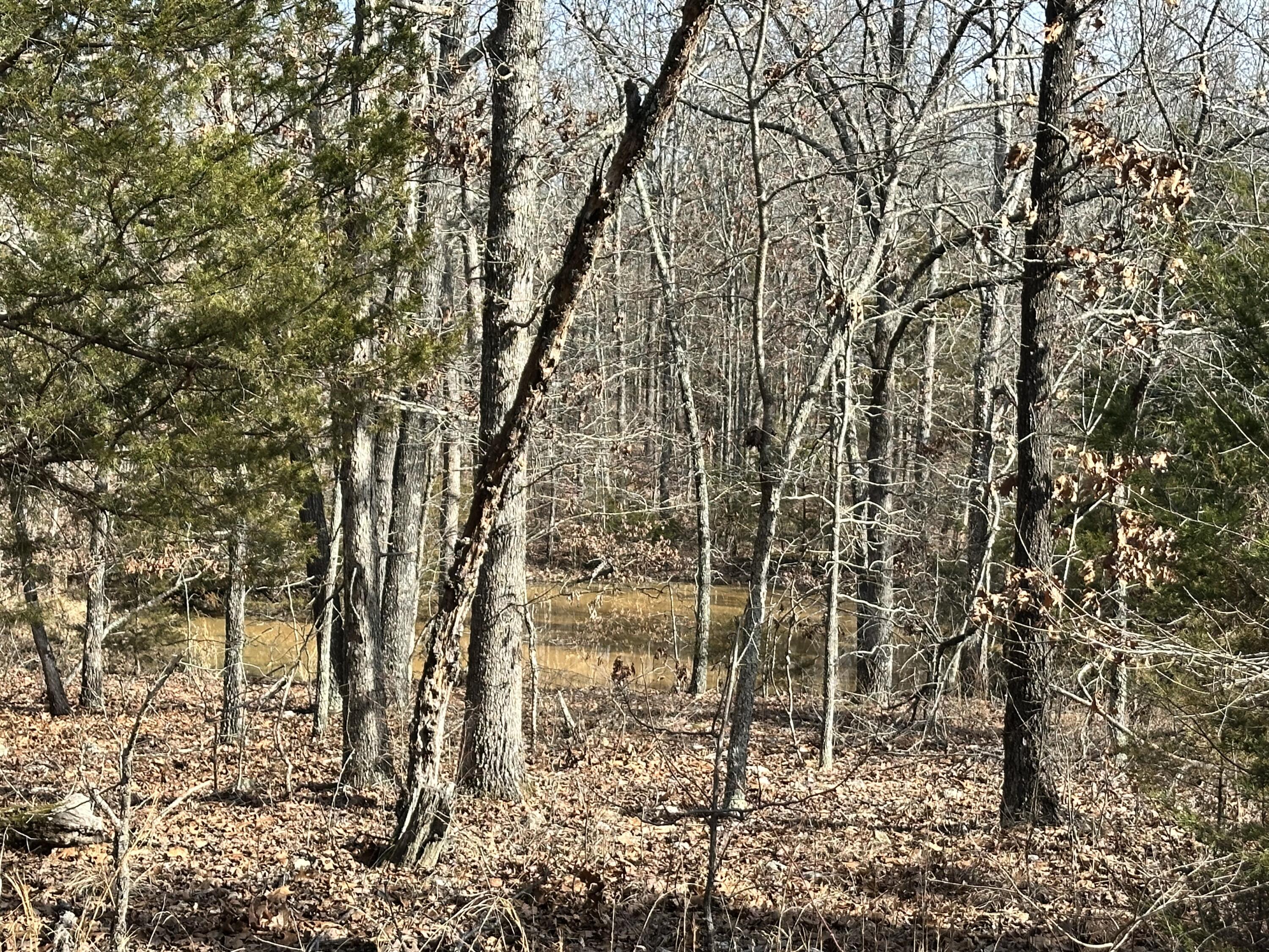 380 Moonlight Road Property Photo 3