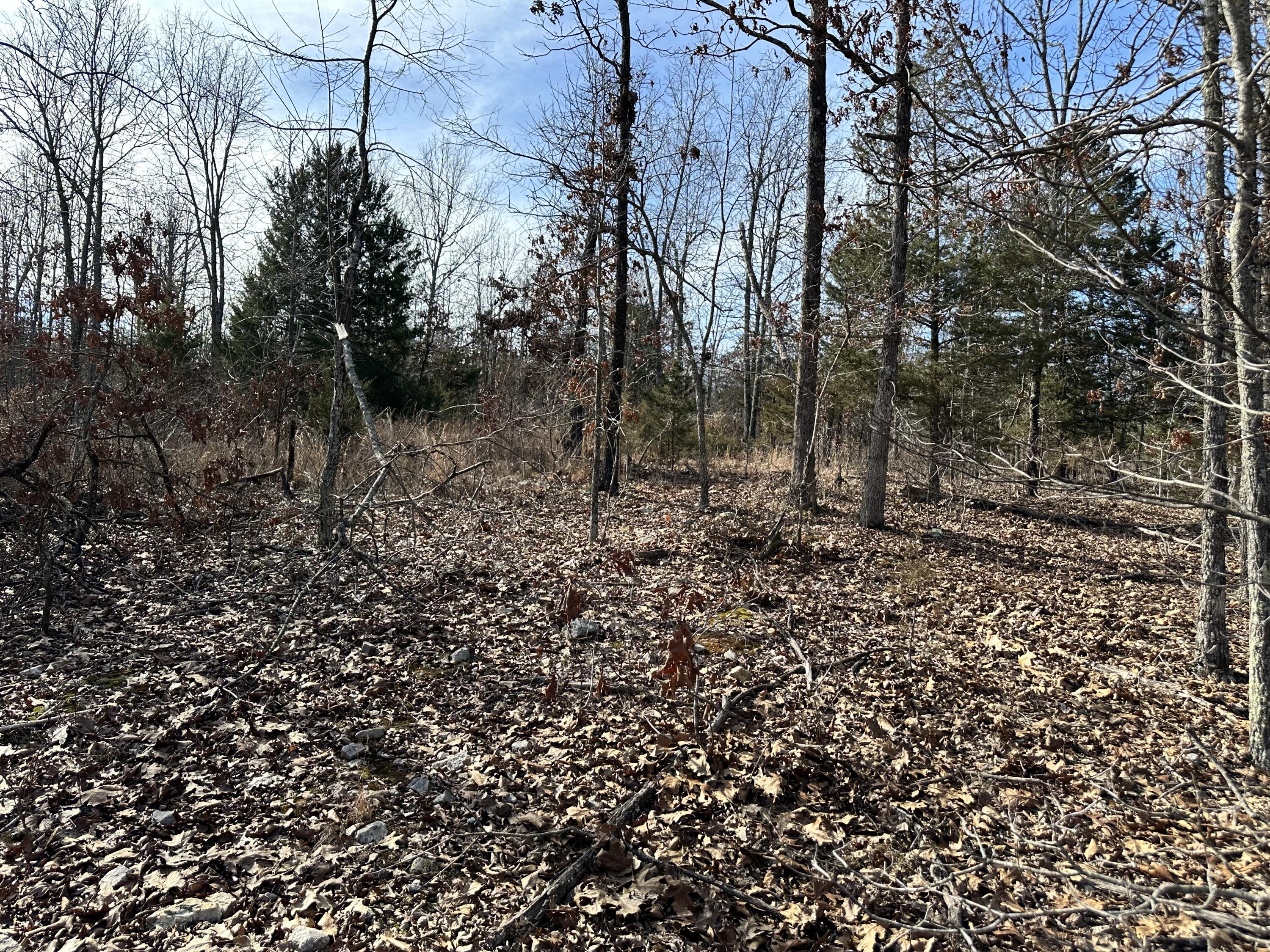 380 Moonlight Road Property Photo 4