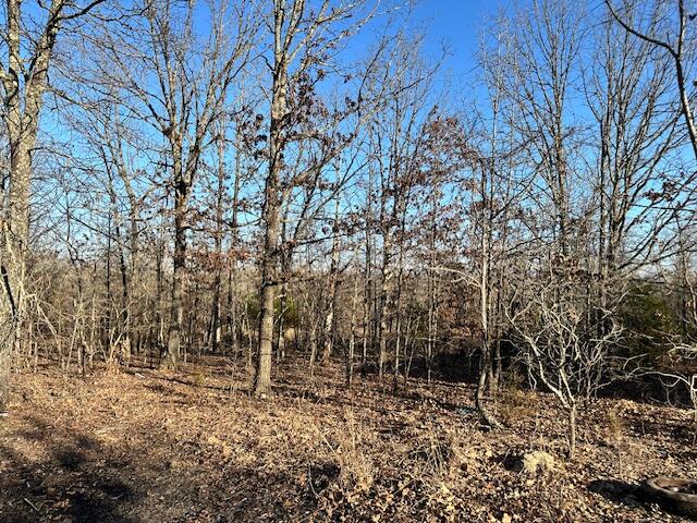 380 Moonlight Road Property Photo 8