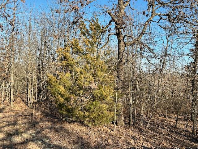 380 Moonlight Road Property Photo 11