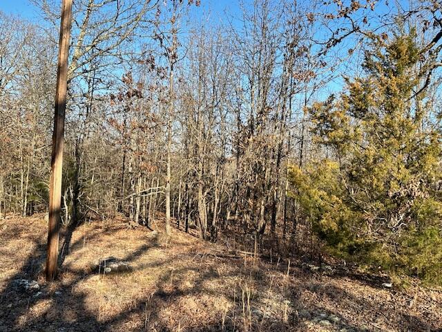 380 Moonlight Road Property Photo 12