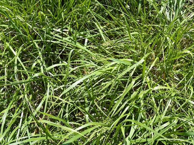 000 N Highway Property Photo 9