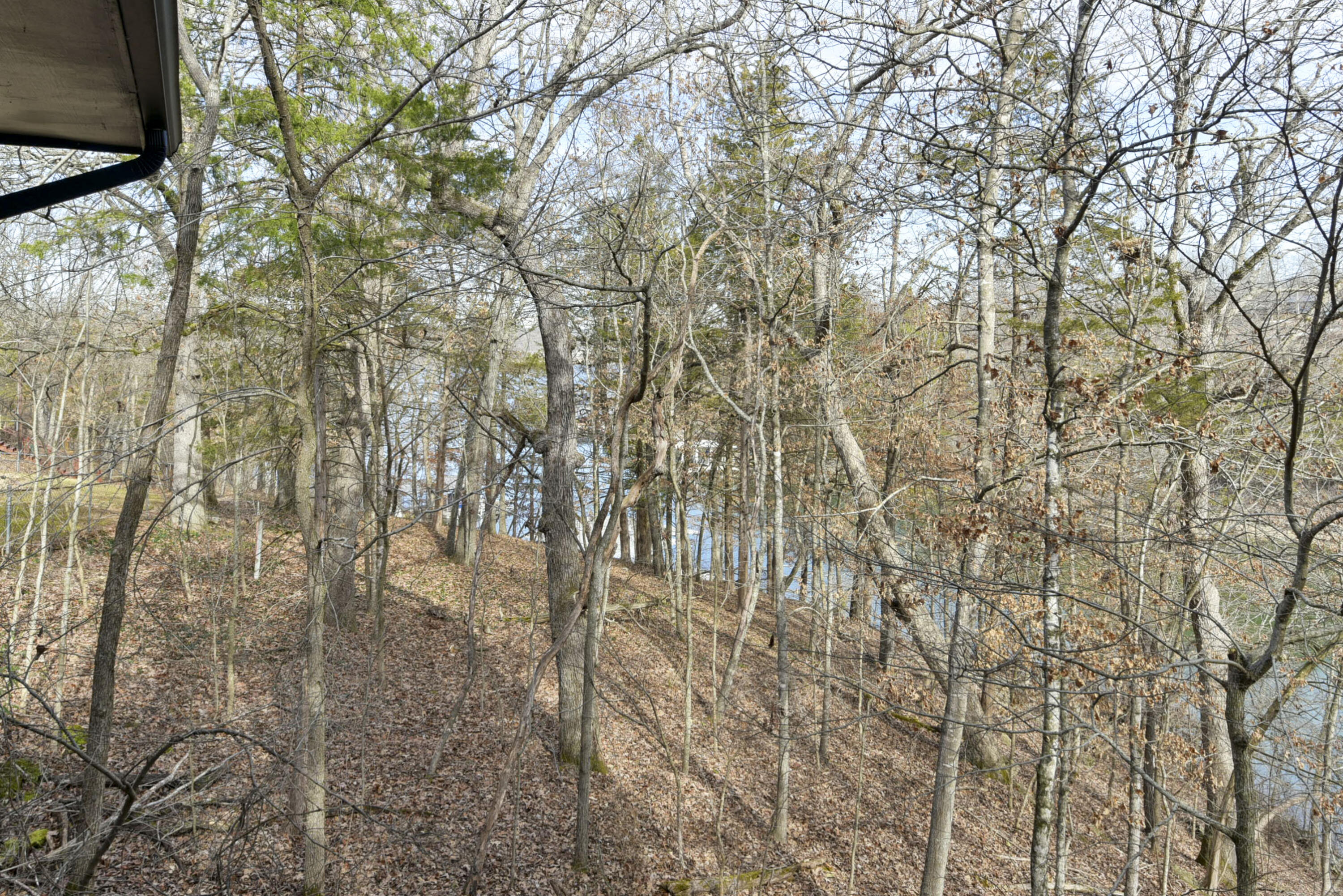 27534 Farm Road 2240 Property Photo 9