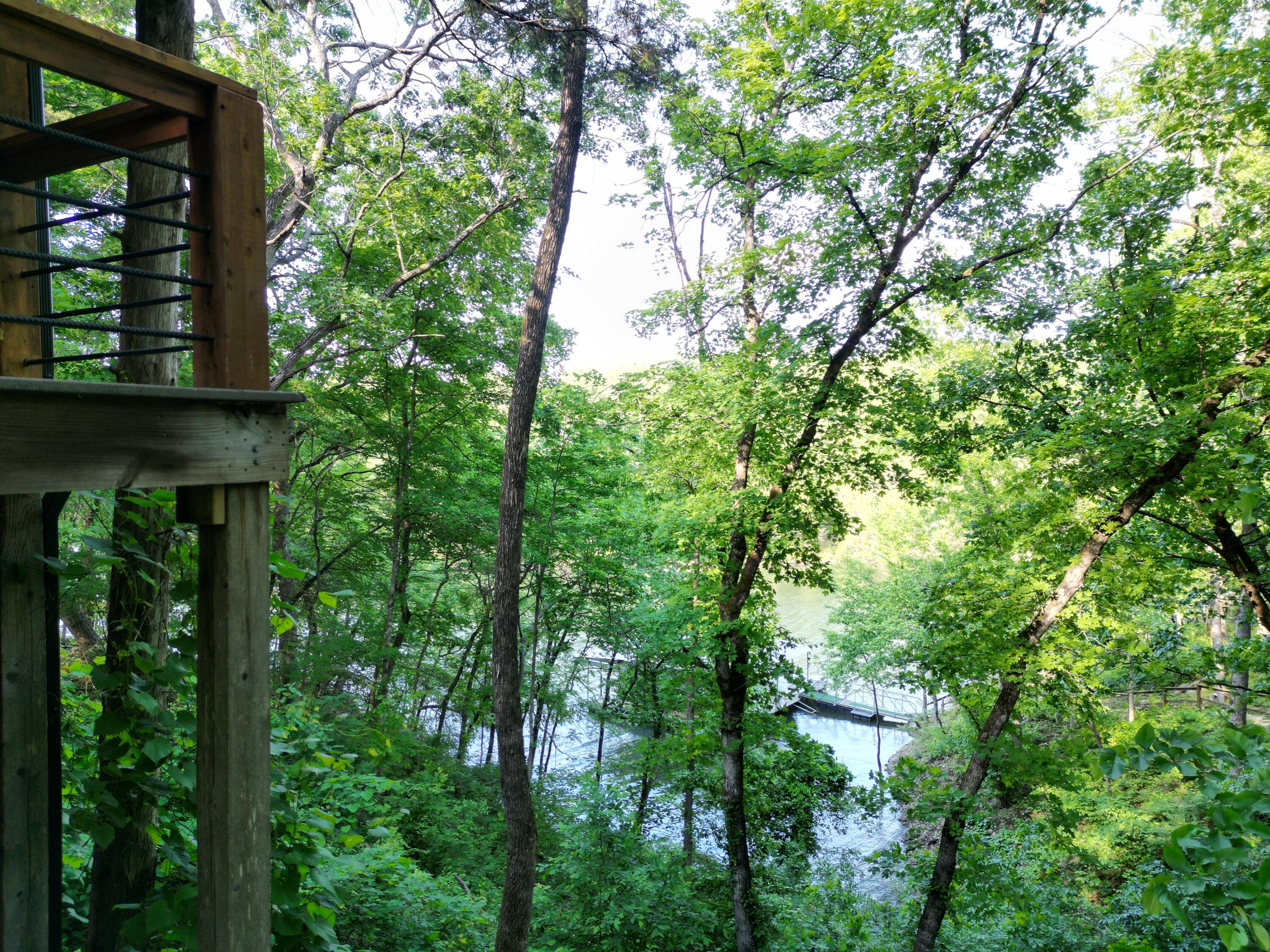 27534 Farm Road 2240 Property Photo 46