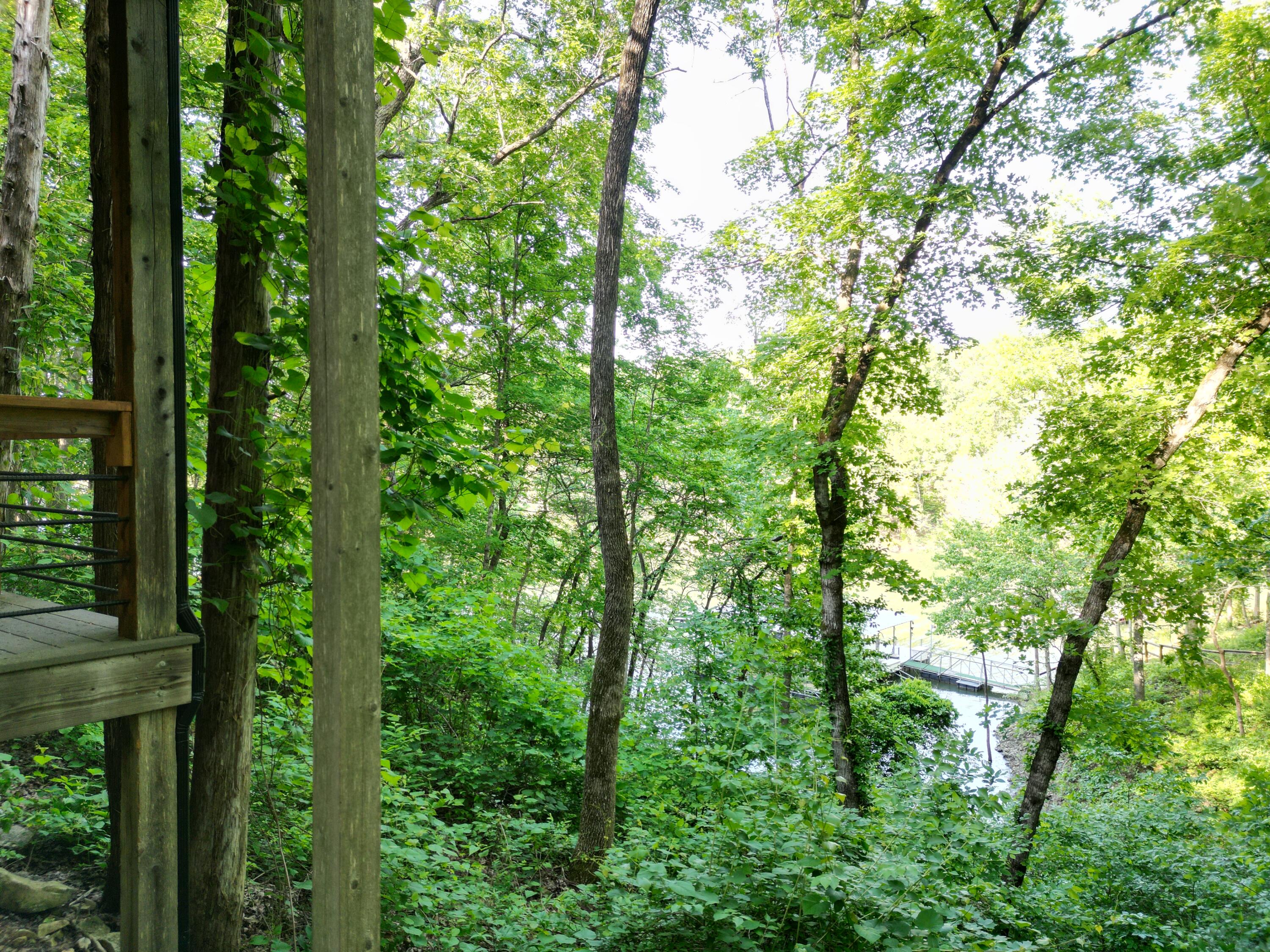 27534 Farm Road 2240 Property Photo 47