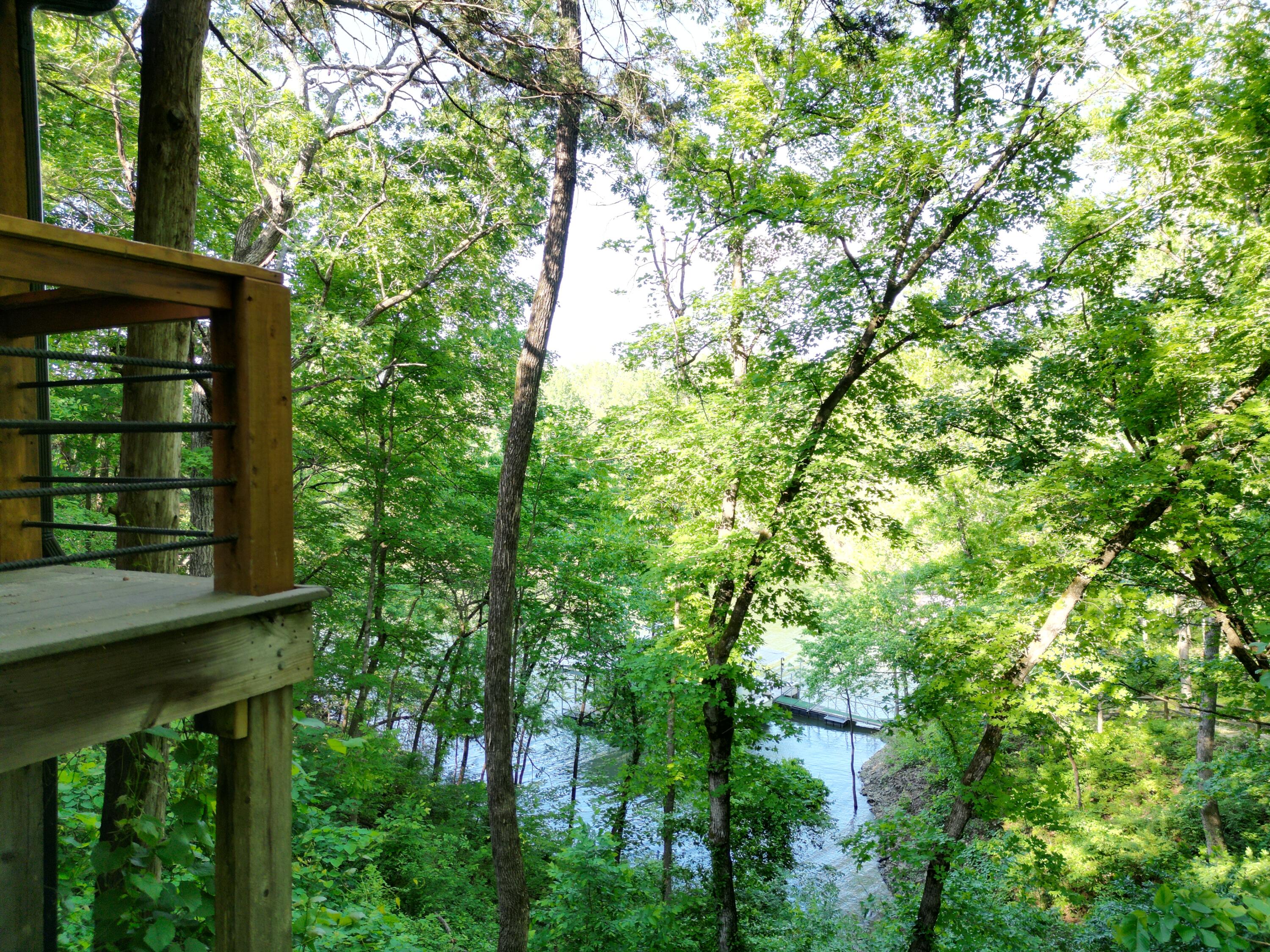 27534 Farm Road 2240 Property Photo 48