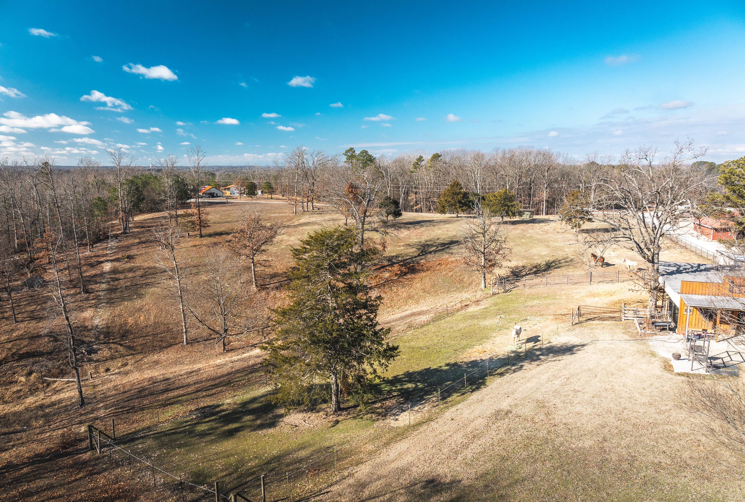 3131 State Hwy K Property Photo 50