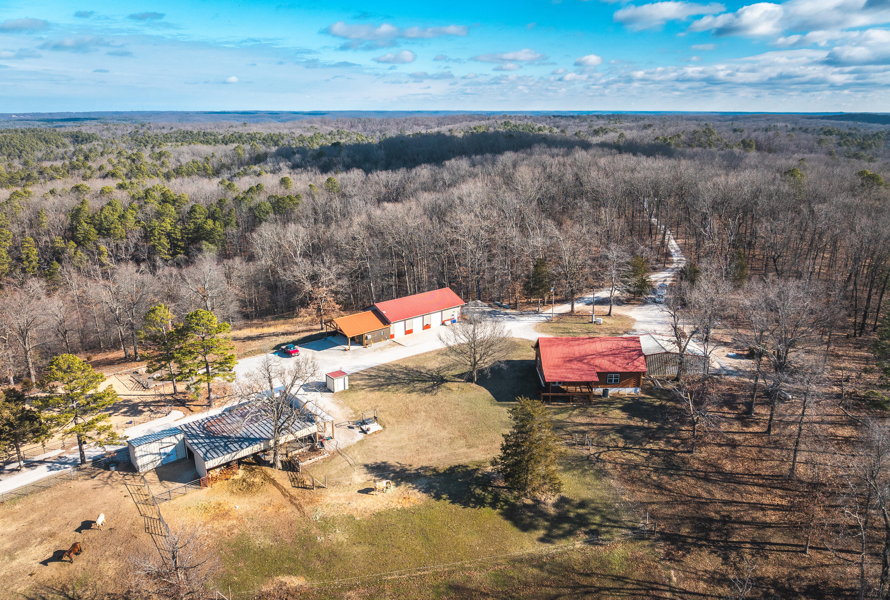 3131 State Hwy K Property Photo 53