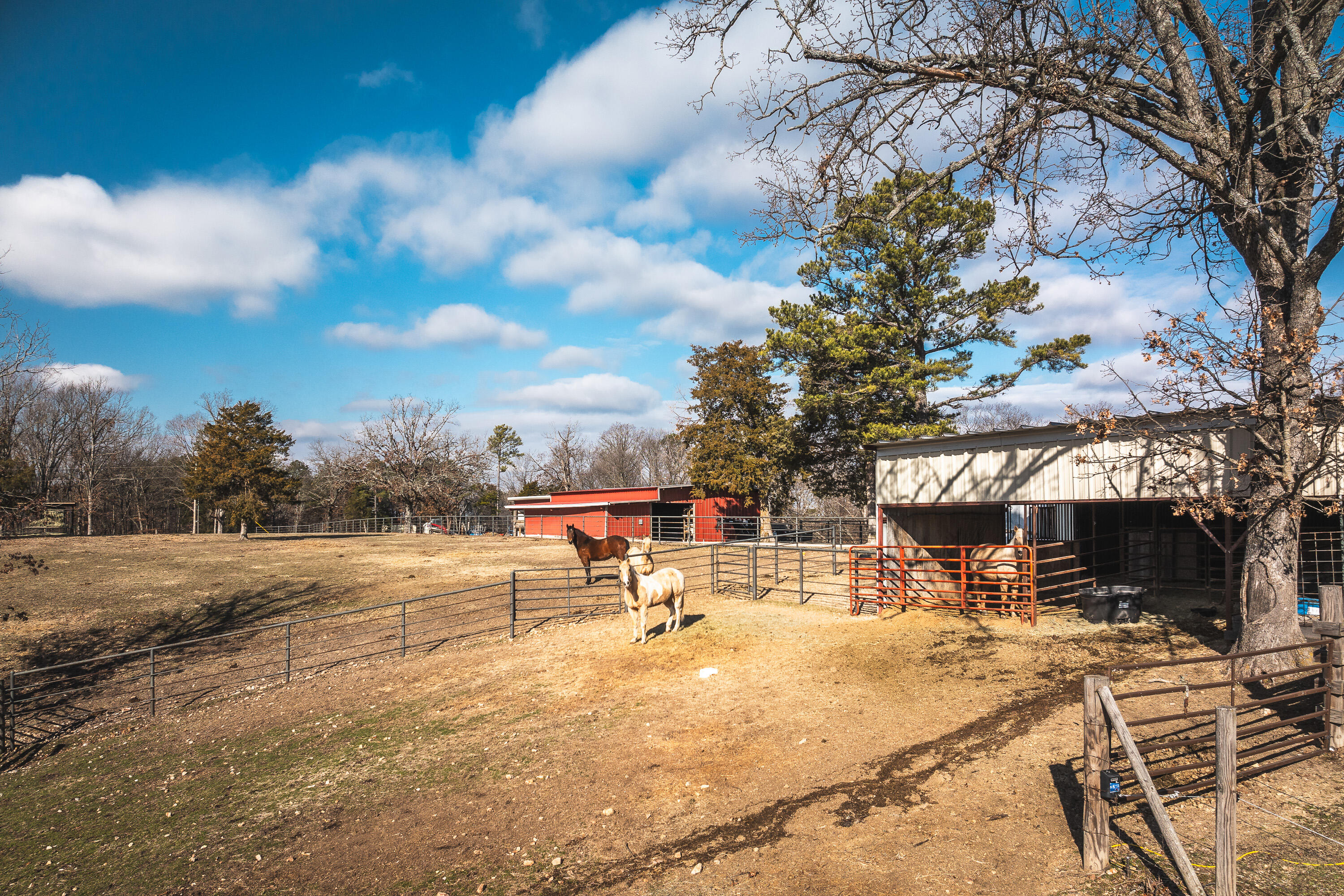 3131 State Hwy K Property Photo 58