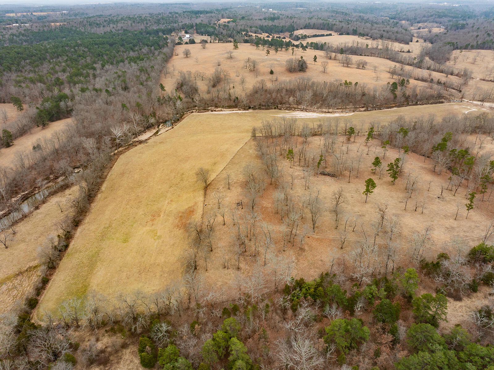 12198 Kitchem Drive Property Photo 57