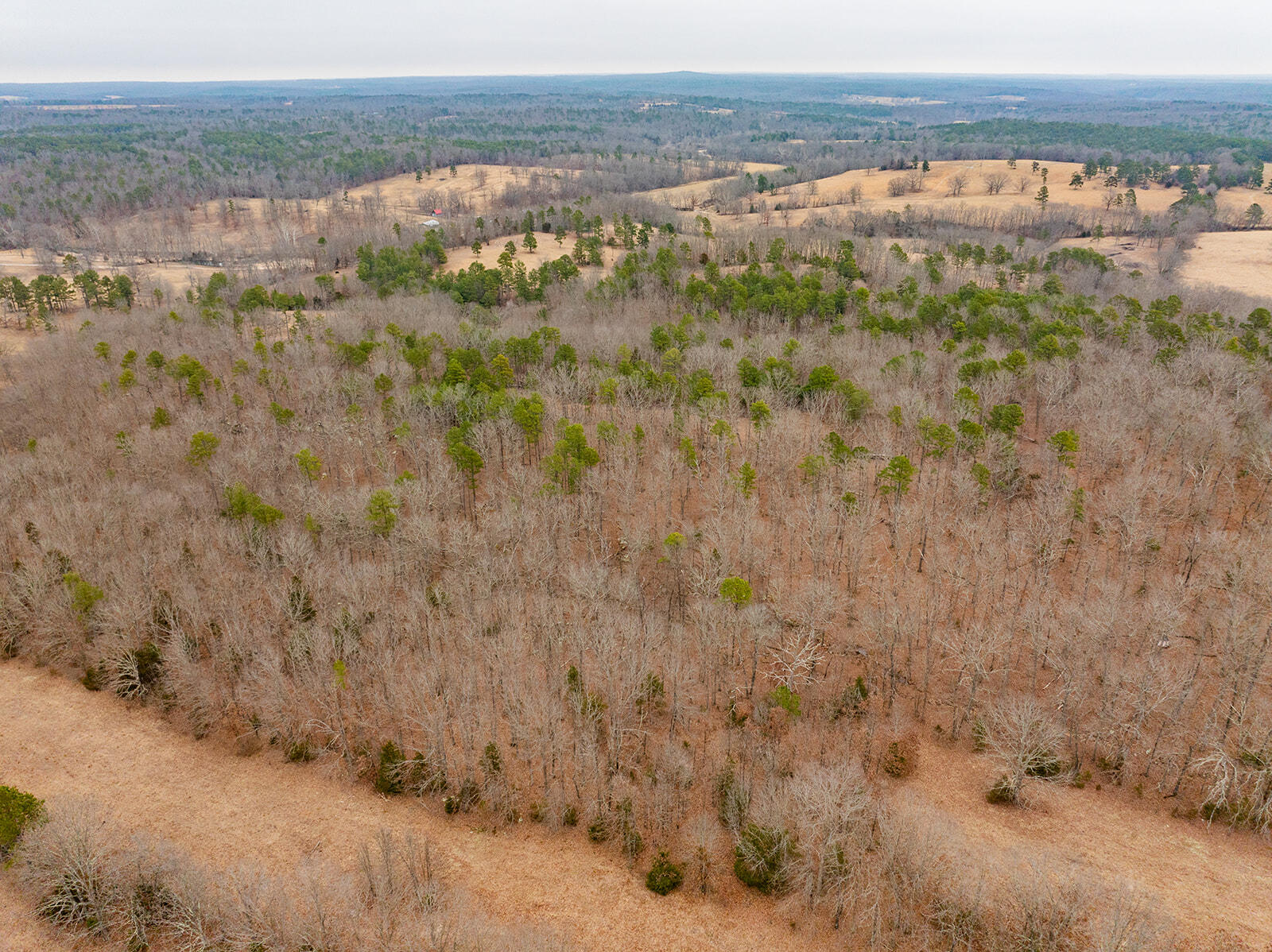 12198 Kitchem Drive Property Photo 64
