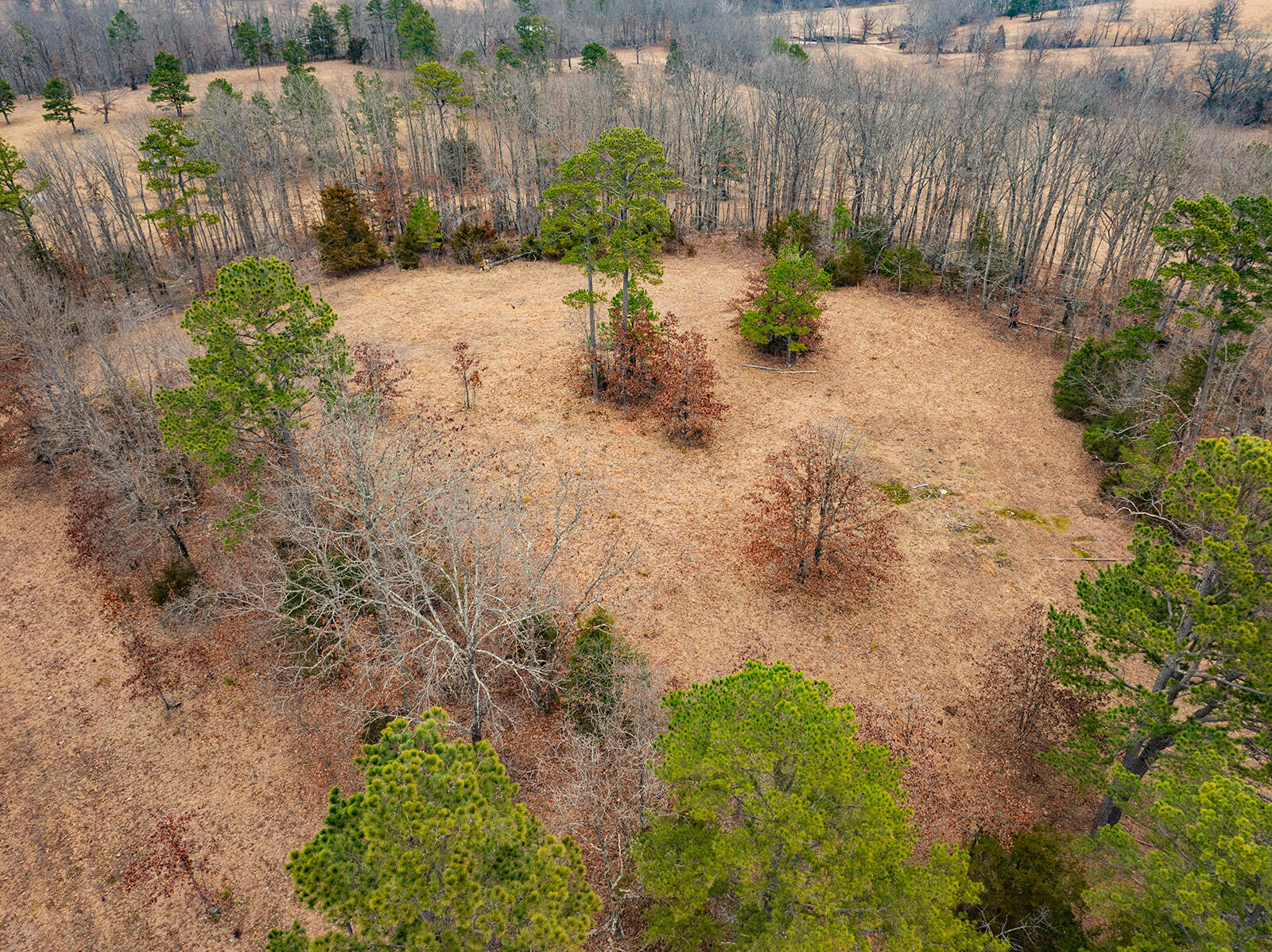 12198 Kitchem Drive Property Photo 68