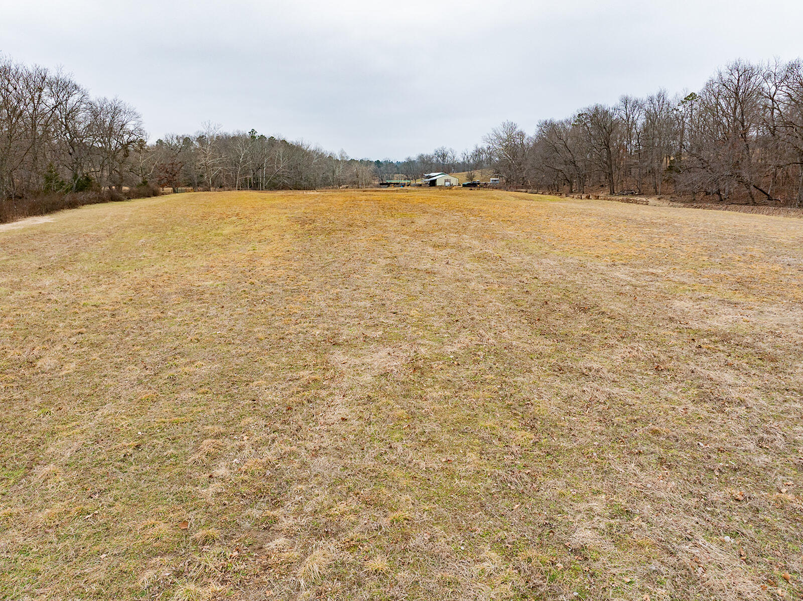 12198 Kitchem Drive Property Photo 87