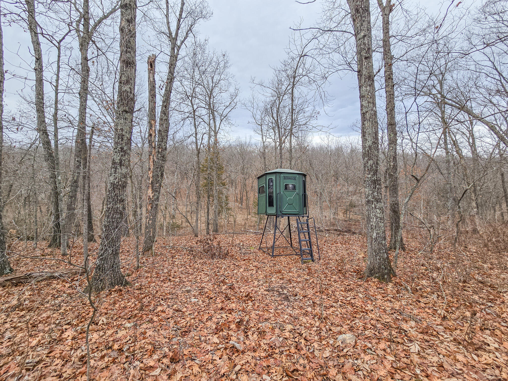 000 State Highway W Property Photo 1
