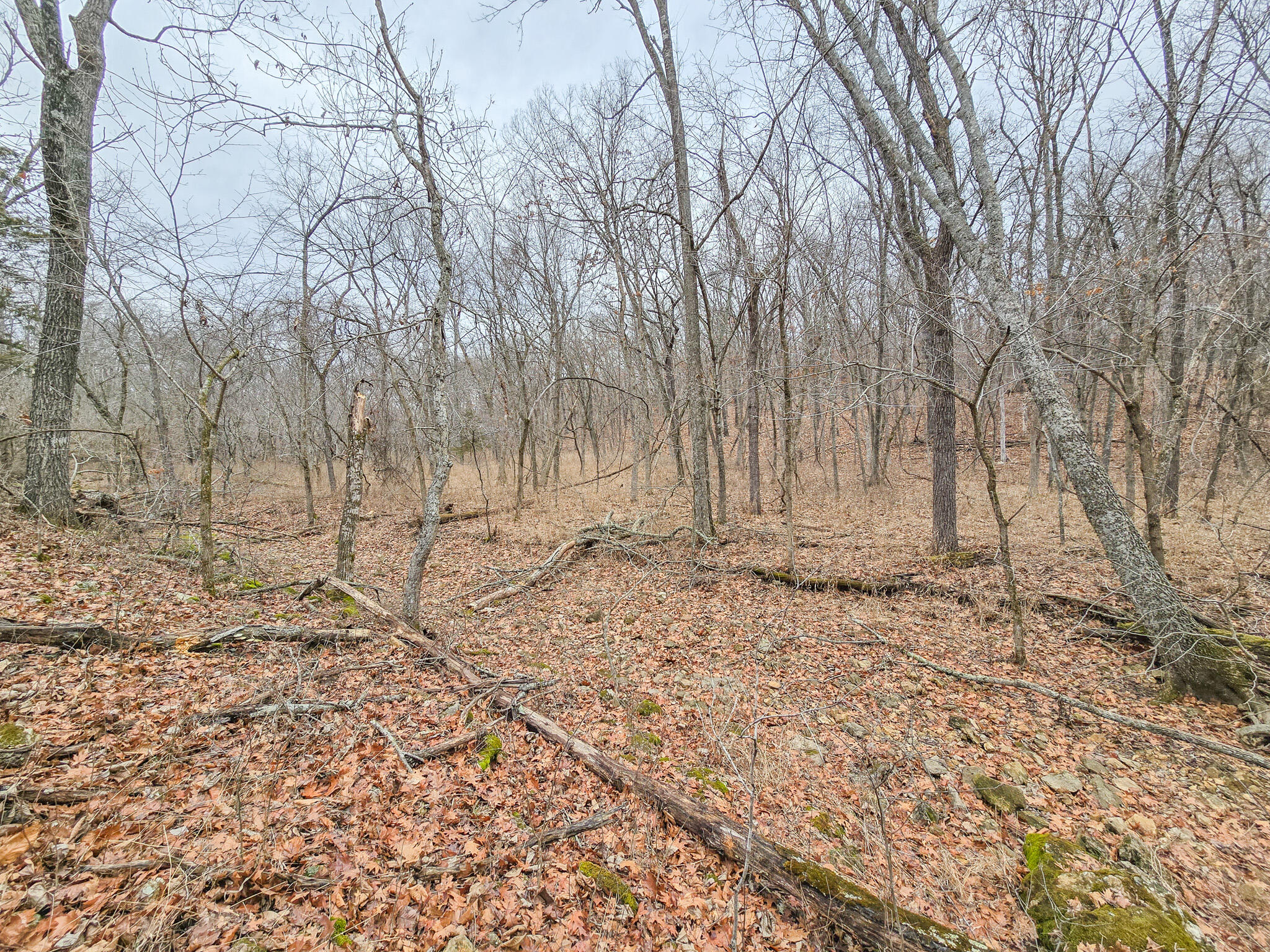 000 State Highway W Property Photo 2