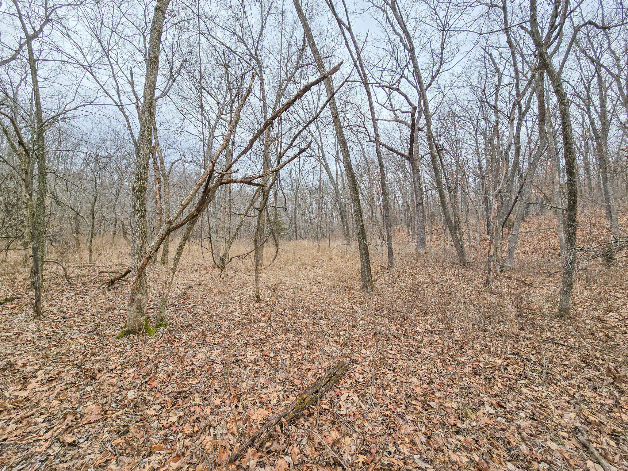 000 State Highway W Property Photo 3