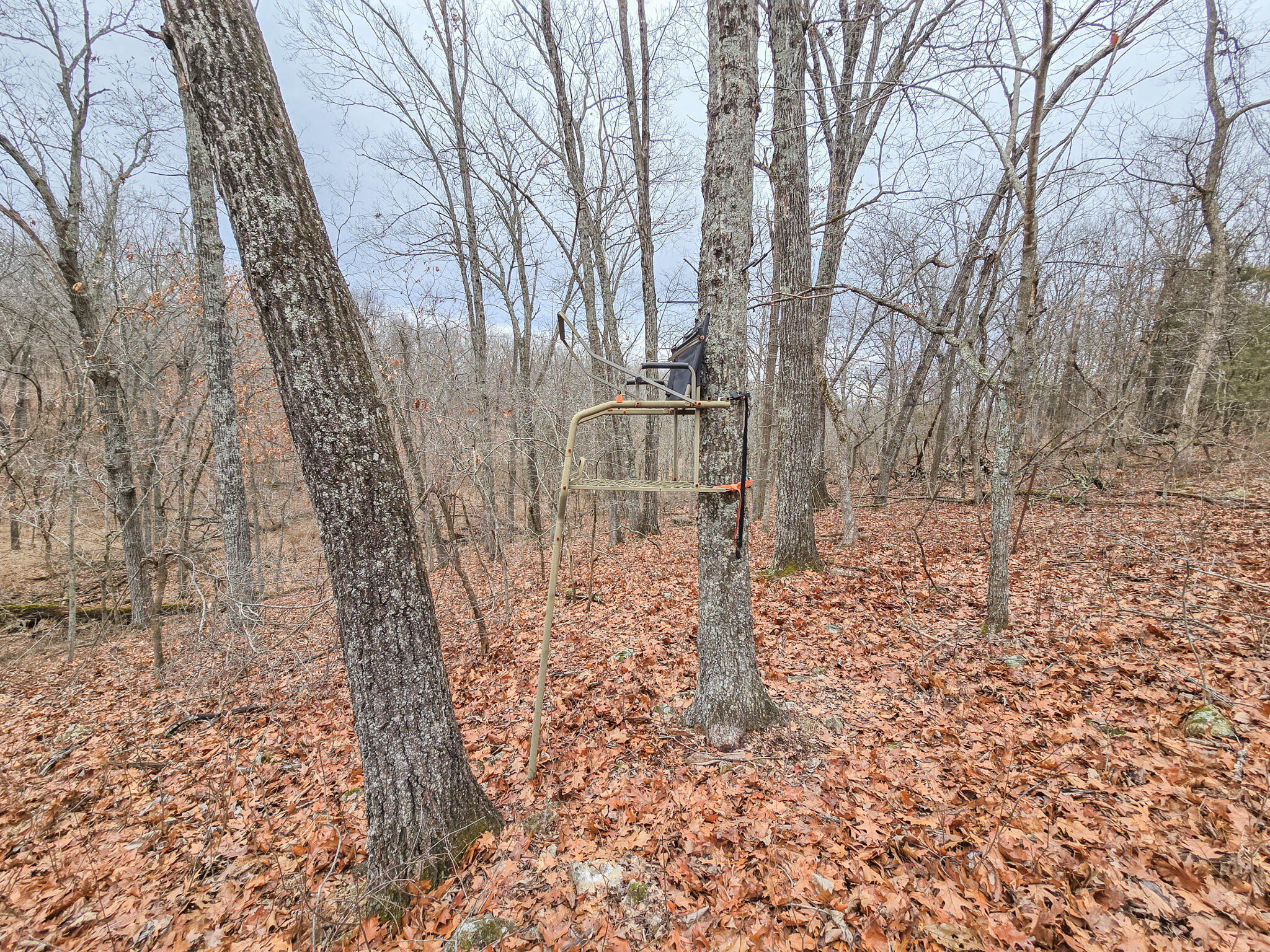 000 State Highway W Property Photo 4