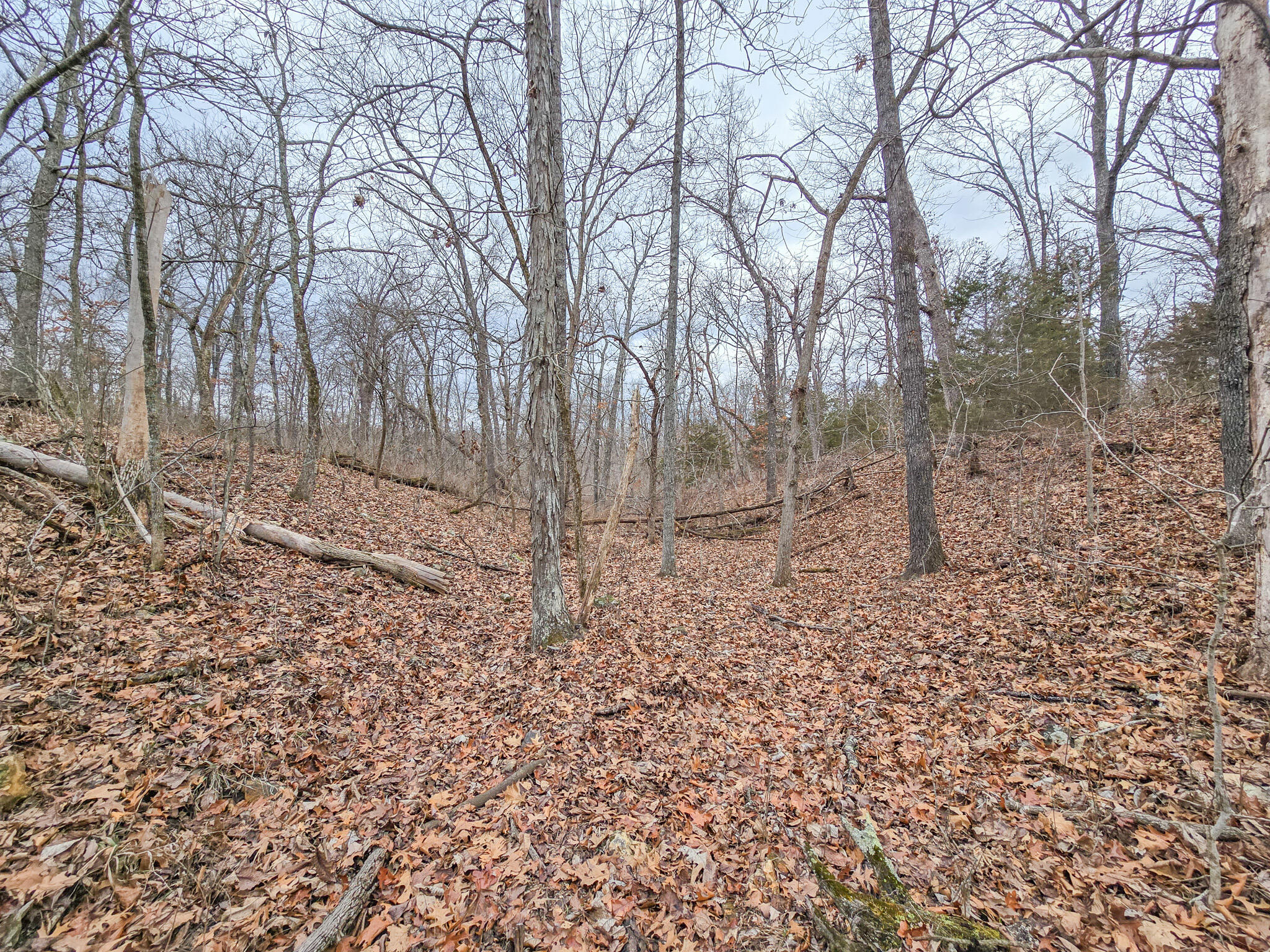 000 State Highway W Property Photo 5