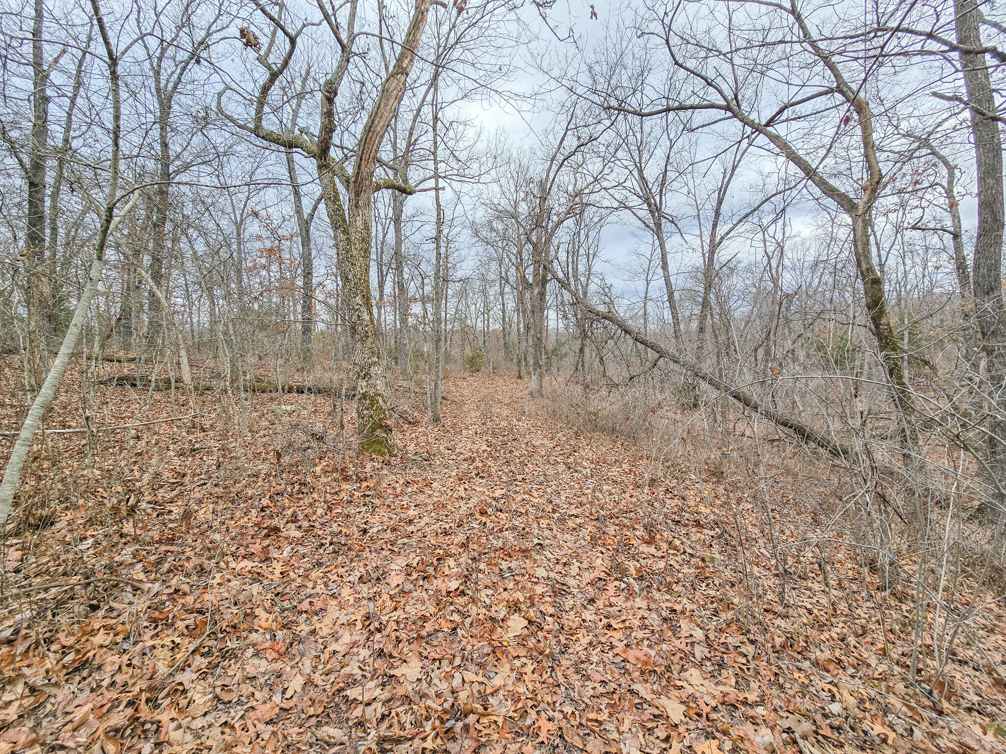 000 State Highway W Property Photo 6