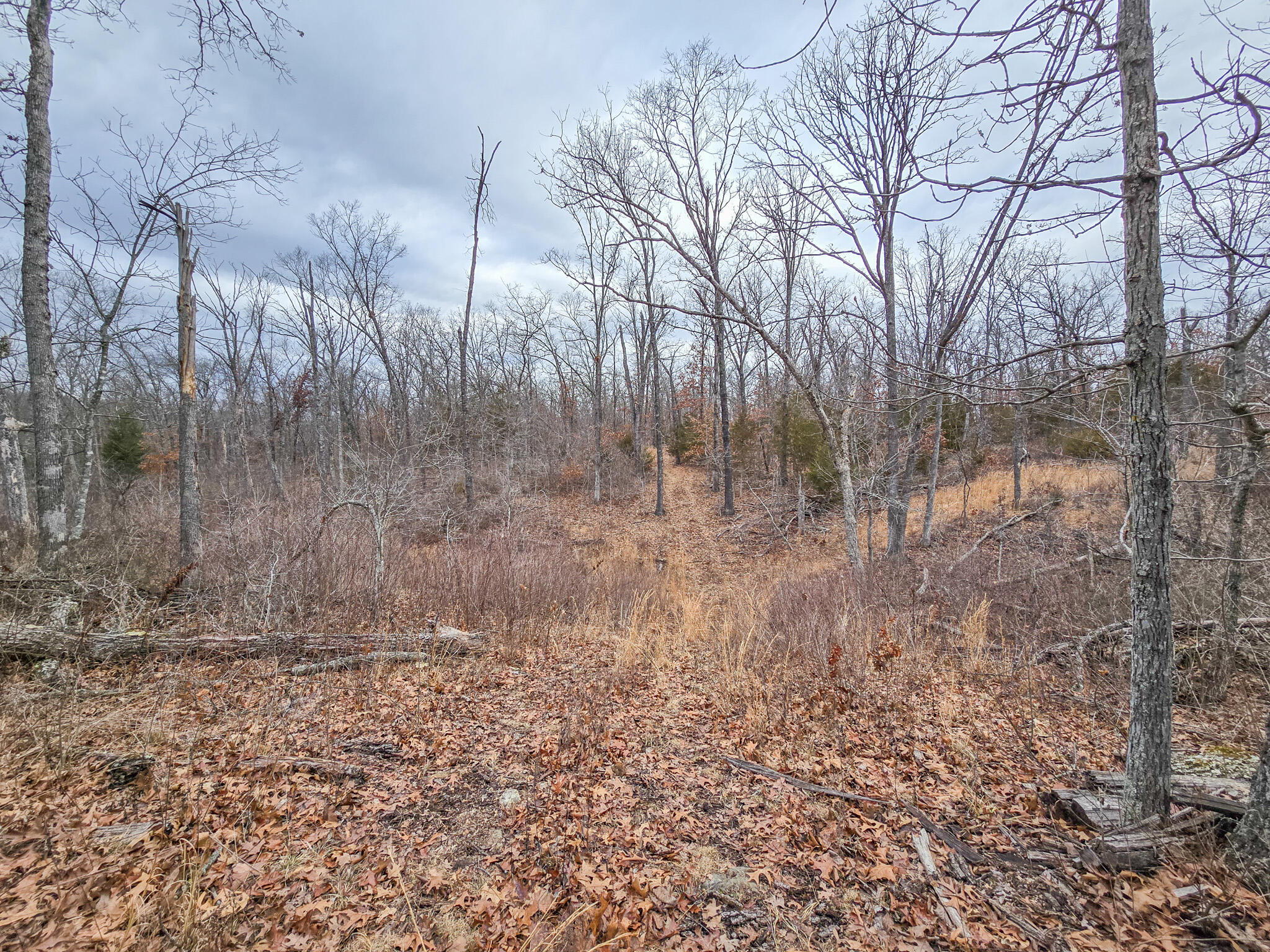 000 State Highway W Property Photo 7