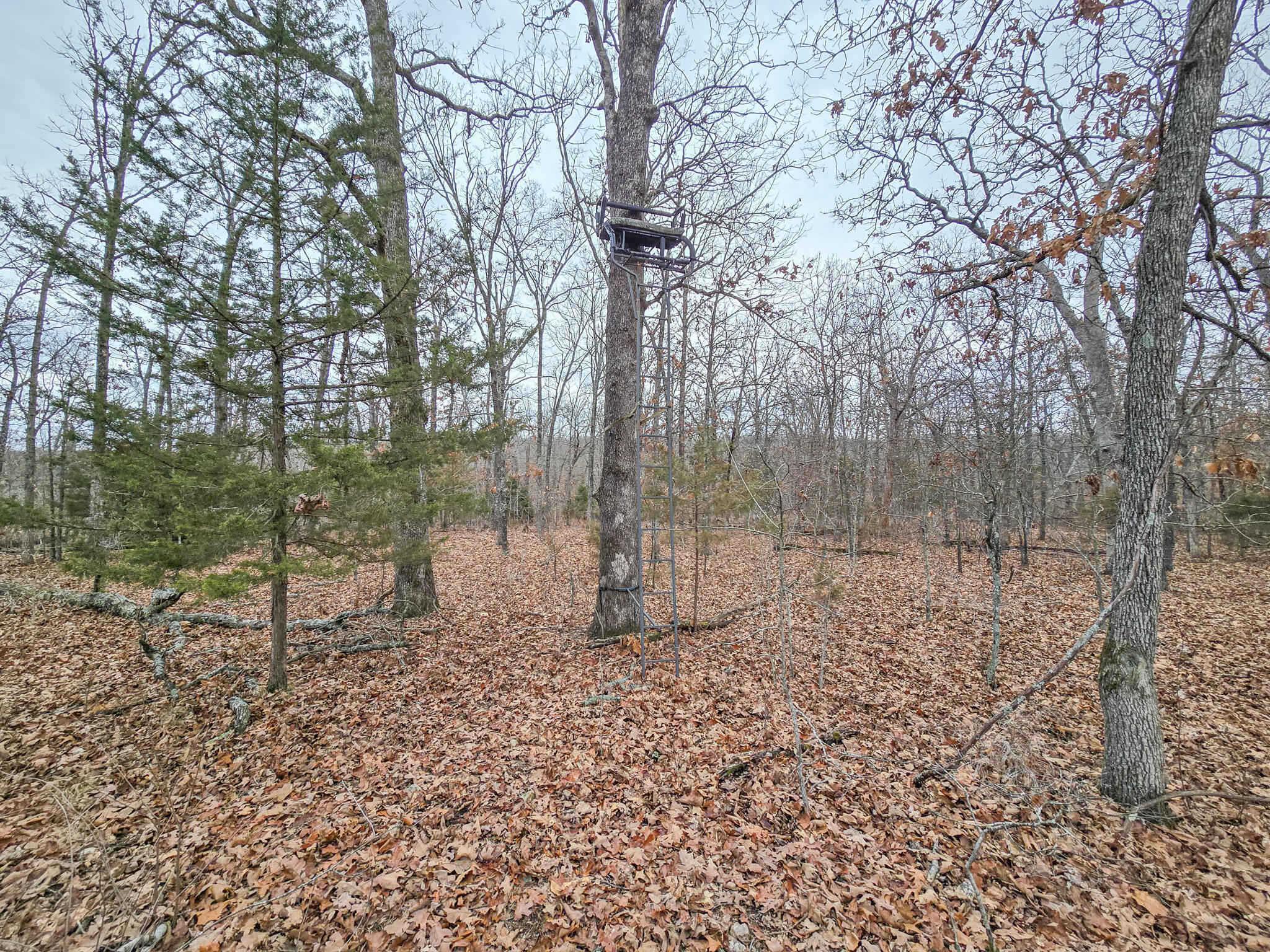 000 State Highway W Property Photo 11