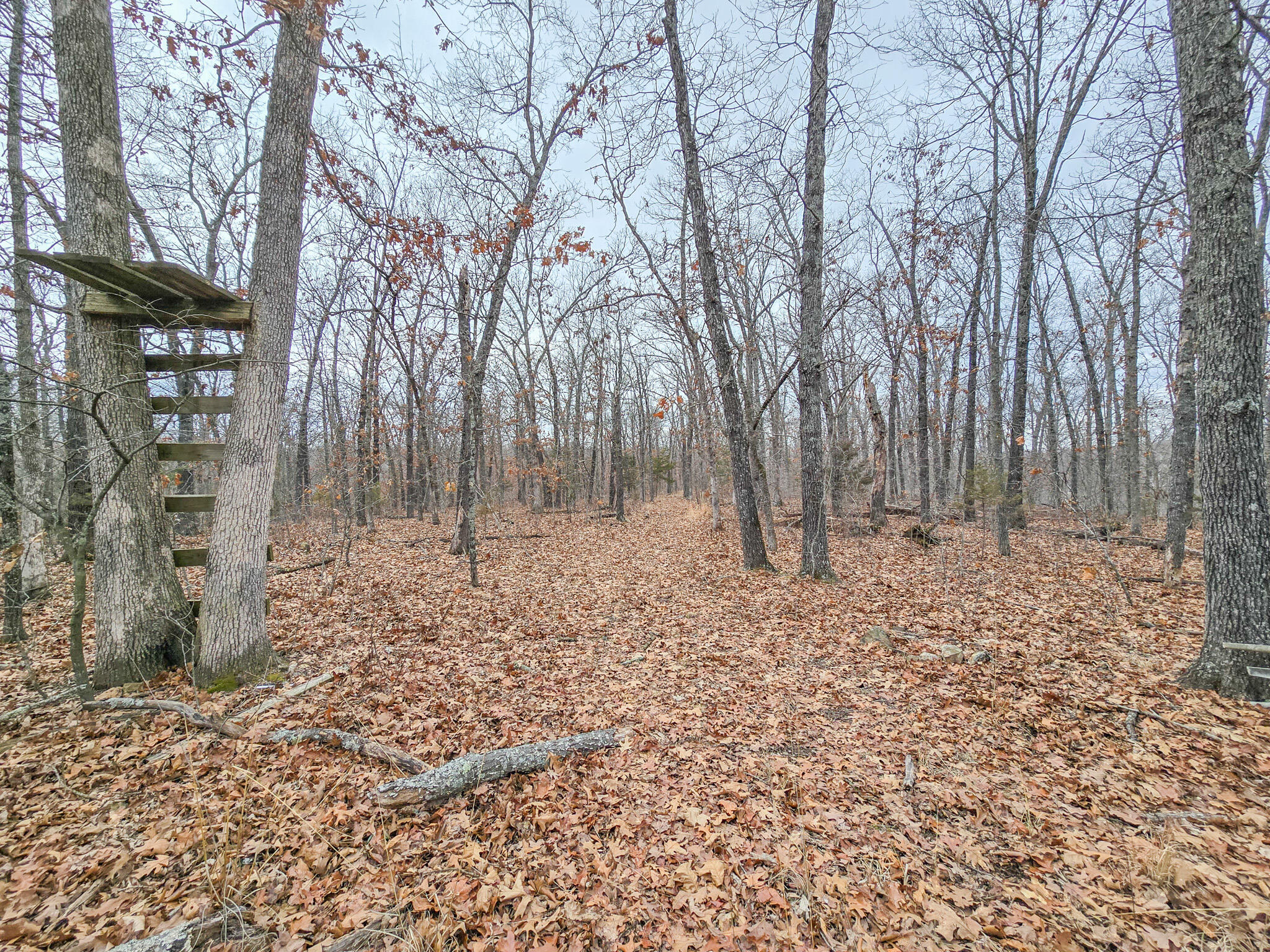 000 State Highway W Property Photo 12