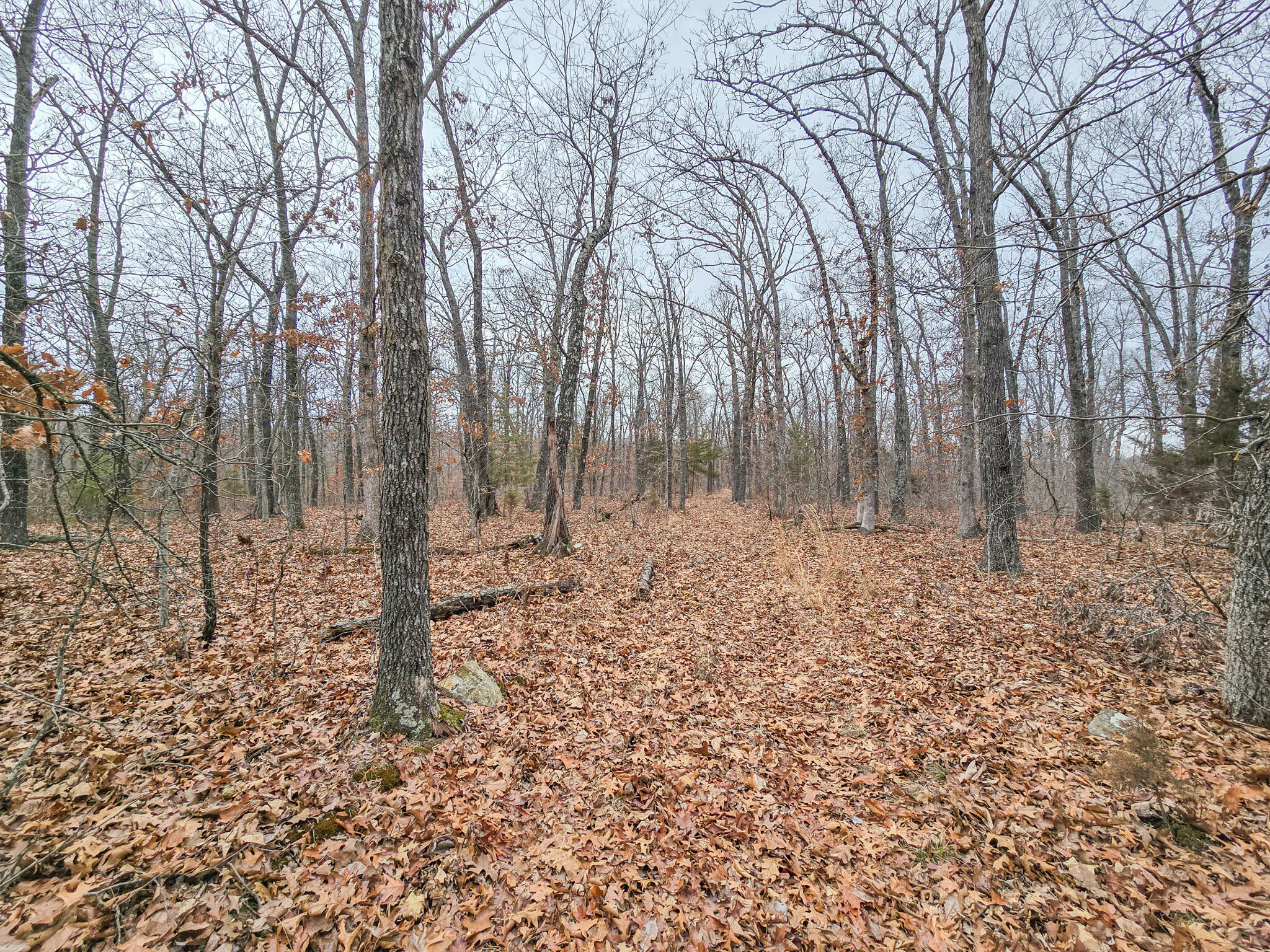 000 State Highway W Property Photo 13
