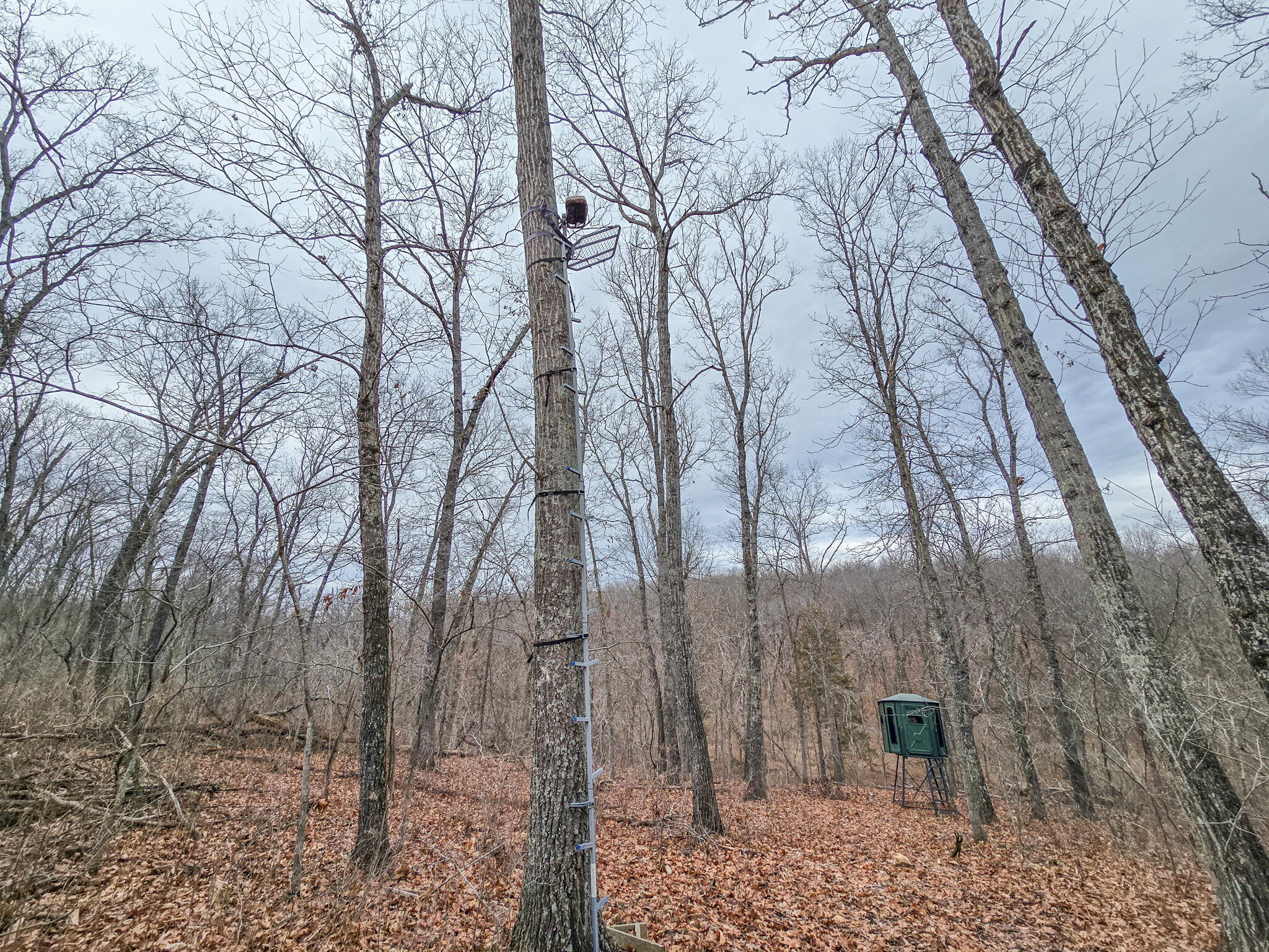 000 State Highway W Property Photo 14