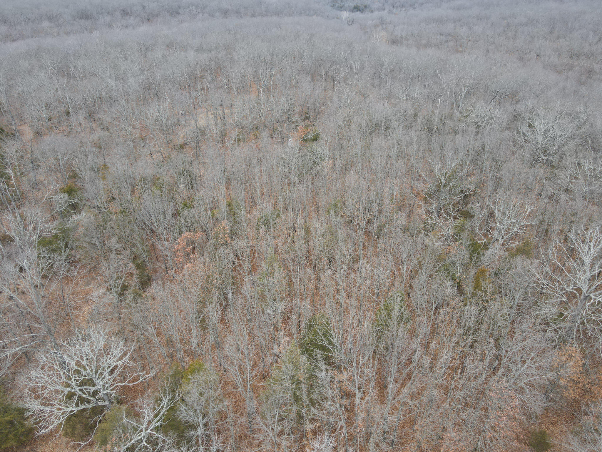 000 State Highway W Property Photo 16