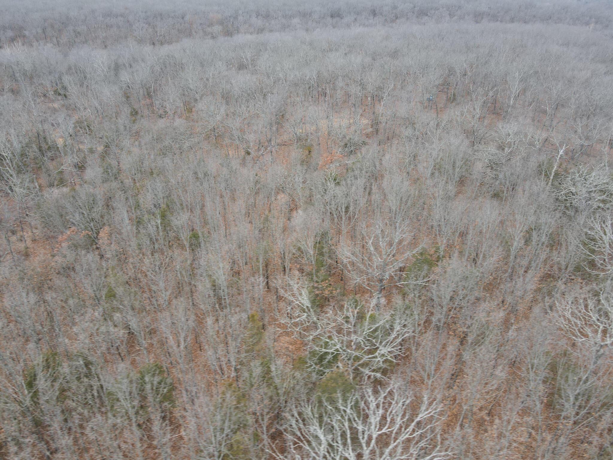 000 State Highway W Property Photo 17
