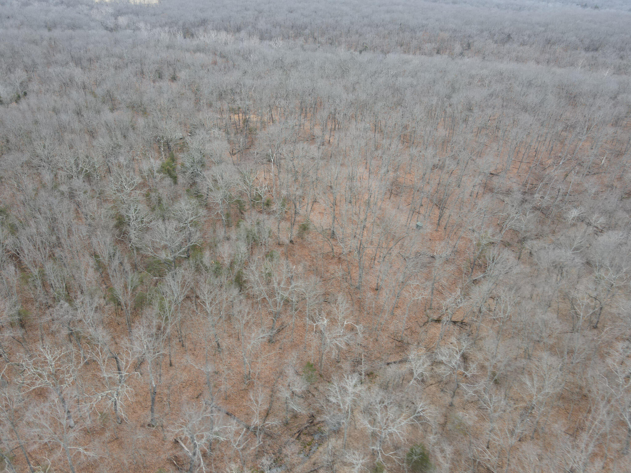 000 State Highway W Property Photo 19