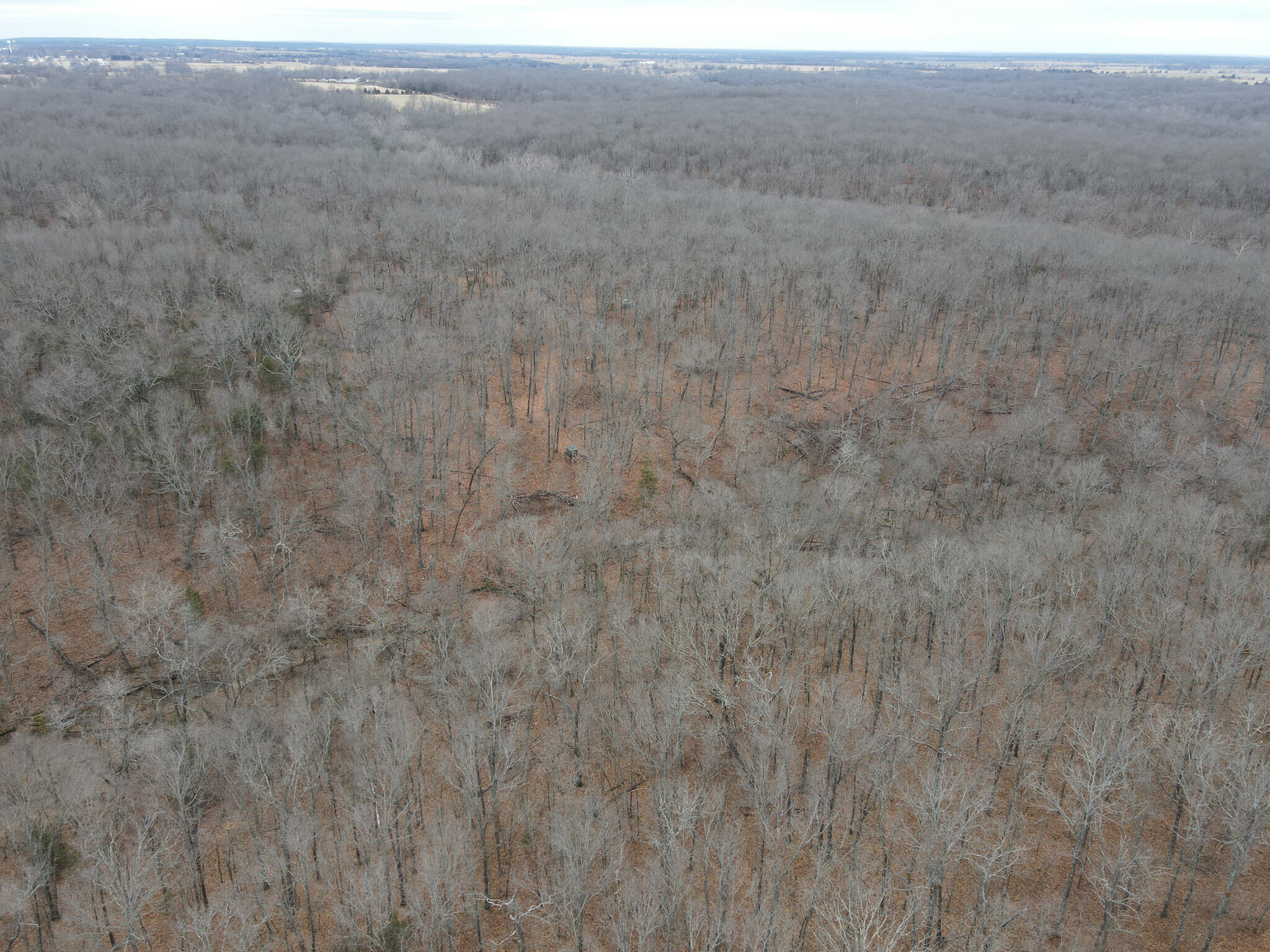 000 State Highway W Property Photo 20