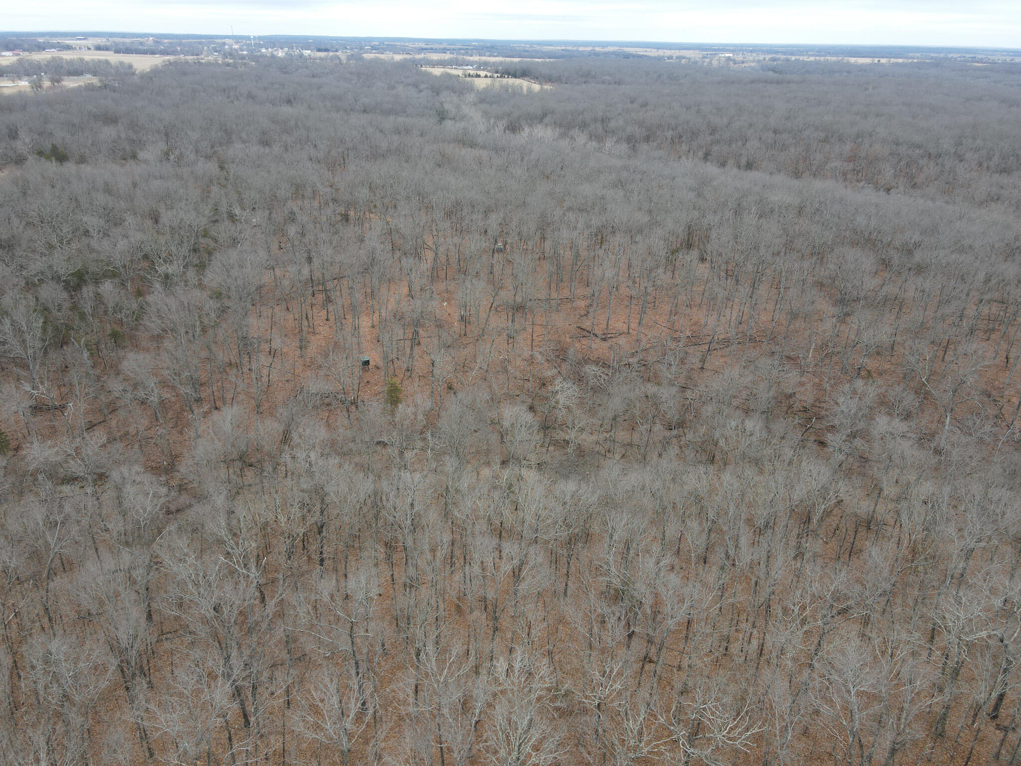 000 State Highway W Property Photo 21