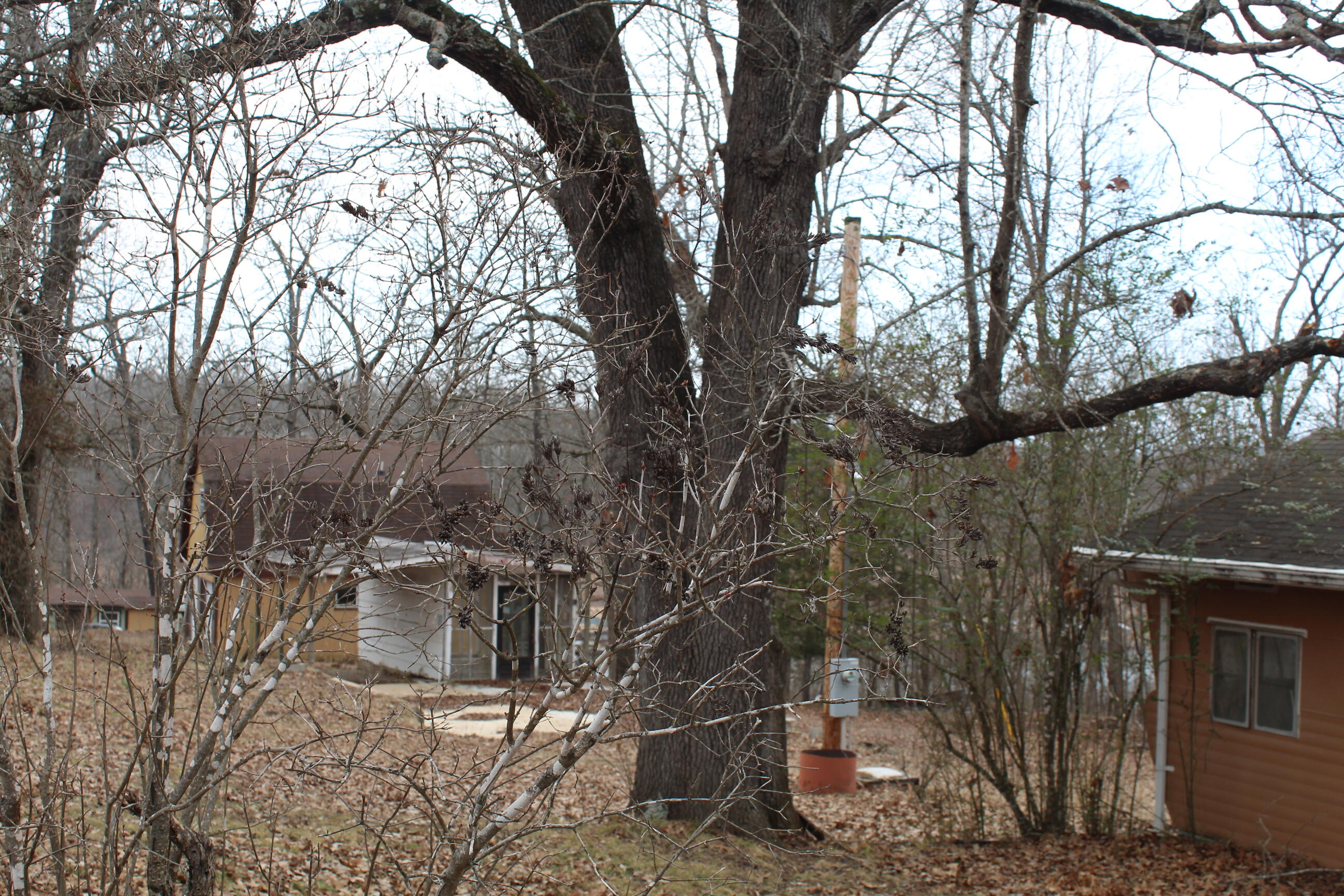 269 Morse Avenue Property Photo 26