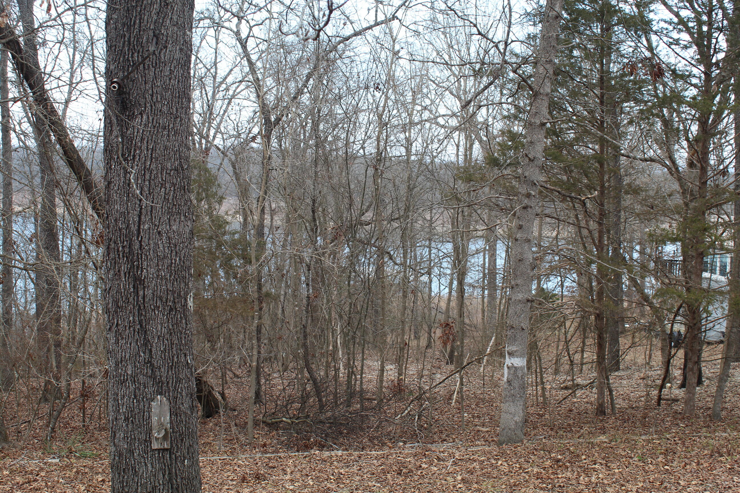269 Morse Avenue Property Photo 35